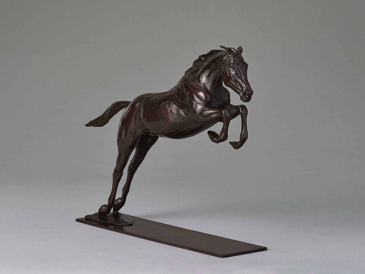 Jumping Horse 'Lift Off' bronze by English equine sculptor Charlie Langton 04.jpeg