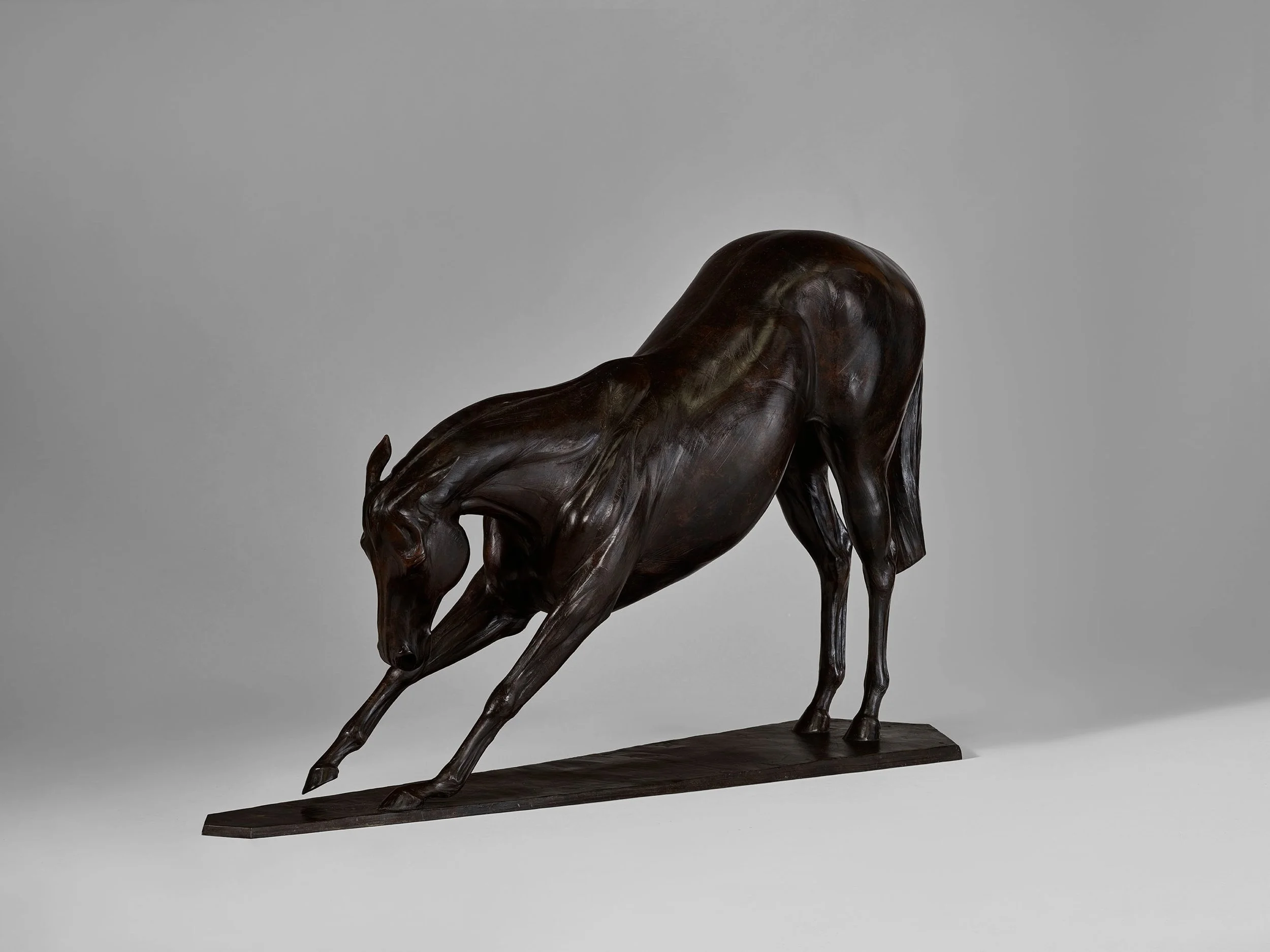 V2.jpeg