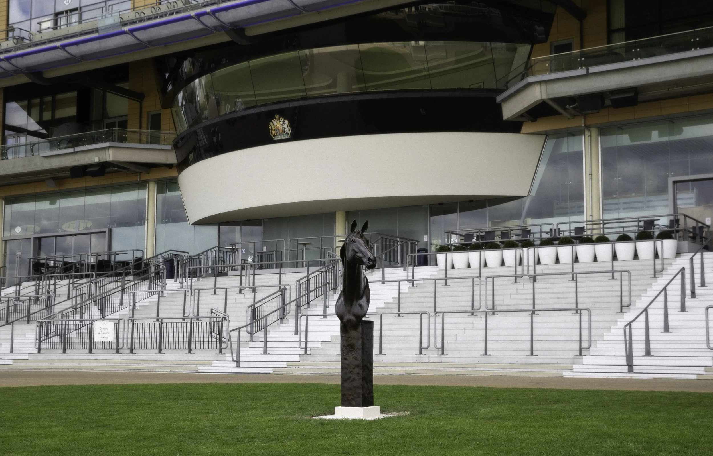 Enable horse by Charlie Langton Ascot racecourse.jpg