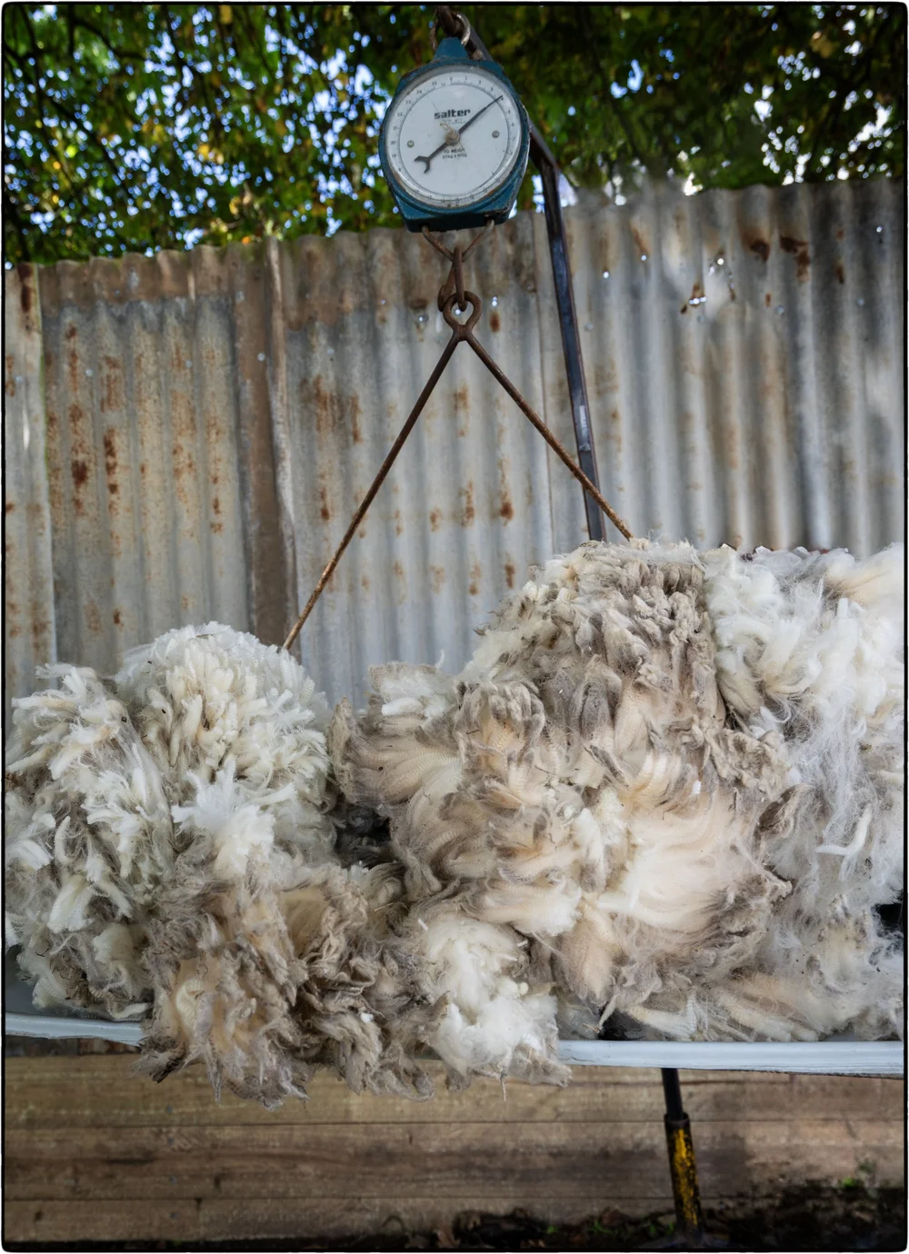 _DSC0012  Ps  CEP.JPG