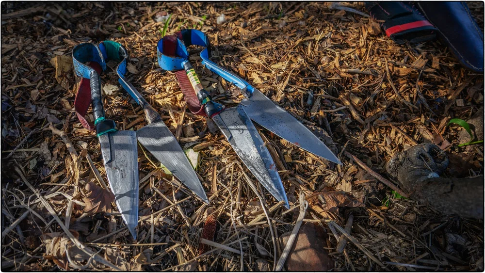 _DSC9689  Ps  CEP.JPG