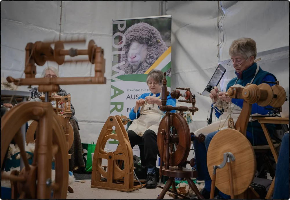 _DSC9746  Ps  CEP.JPG