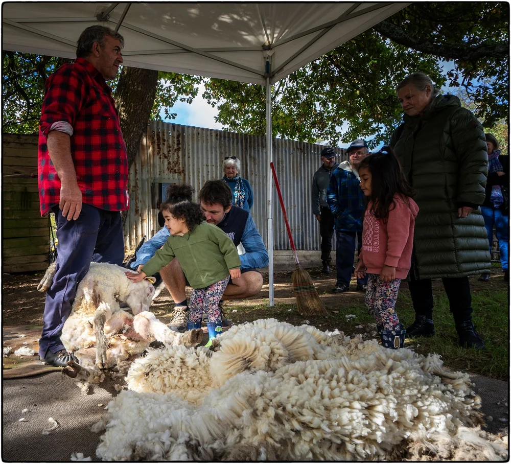 _DSC9869  Ps  CEP.JPG