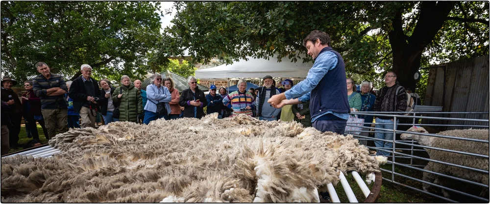 _DSC9894  Ps  CEP.JPG