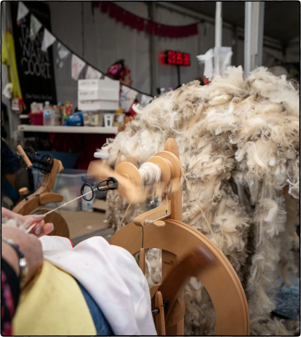 _DSC9960  Ps  CEP.JPG