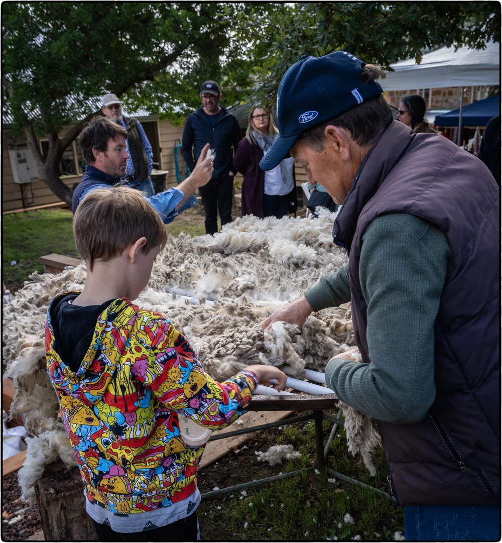 _DSC9995  Ps  CEP.JPG