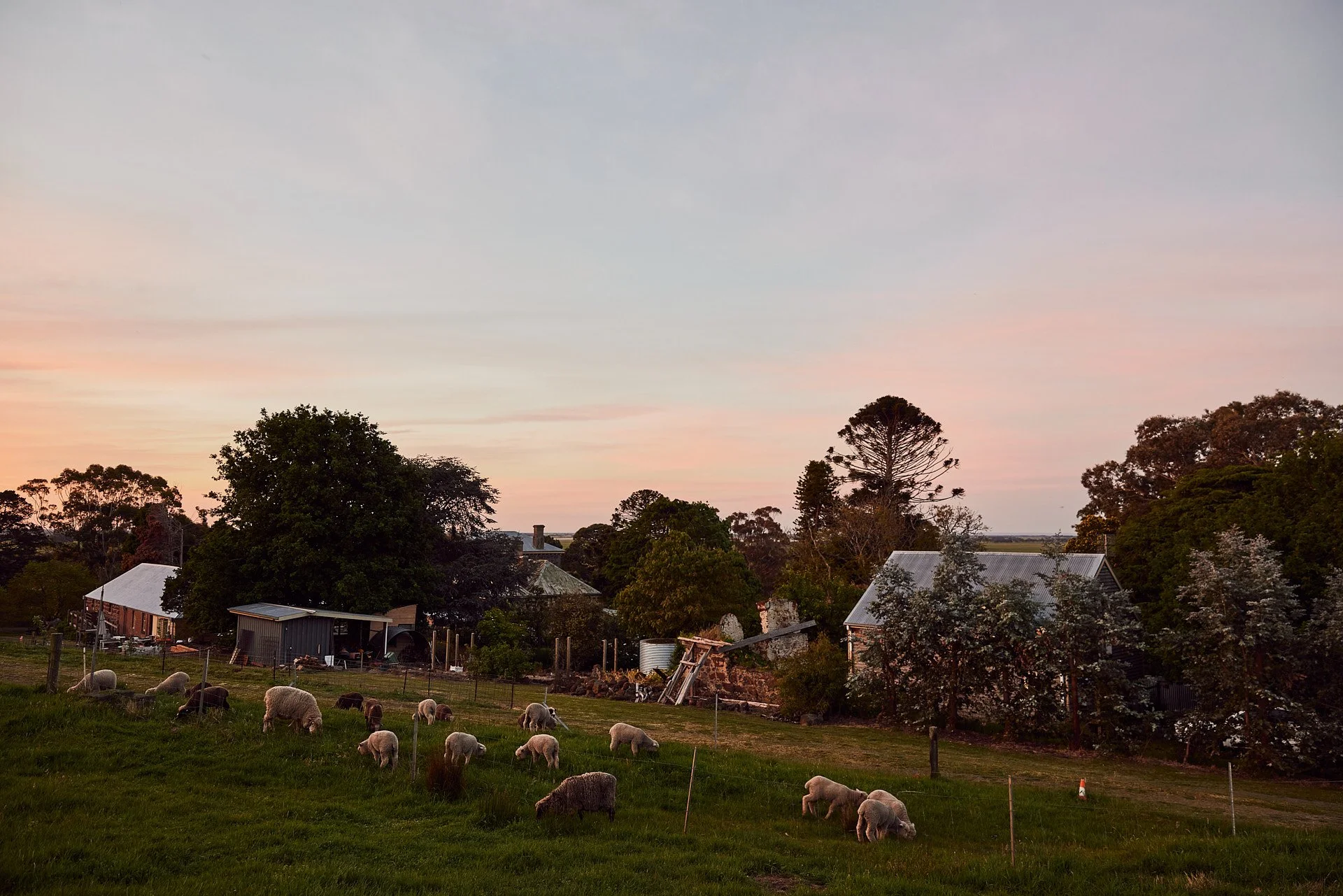 ©CMcConville_OHT_Tarndie_Oct2023_035_LR.jpg