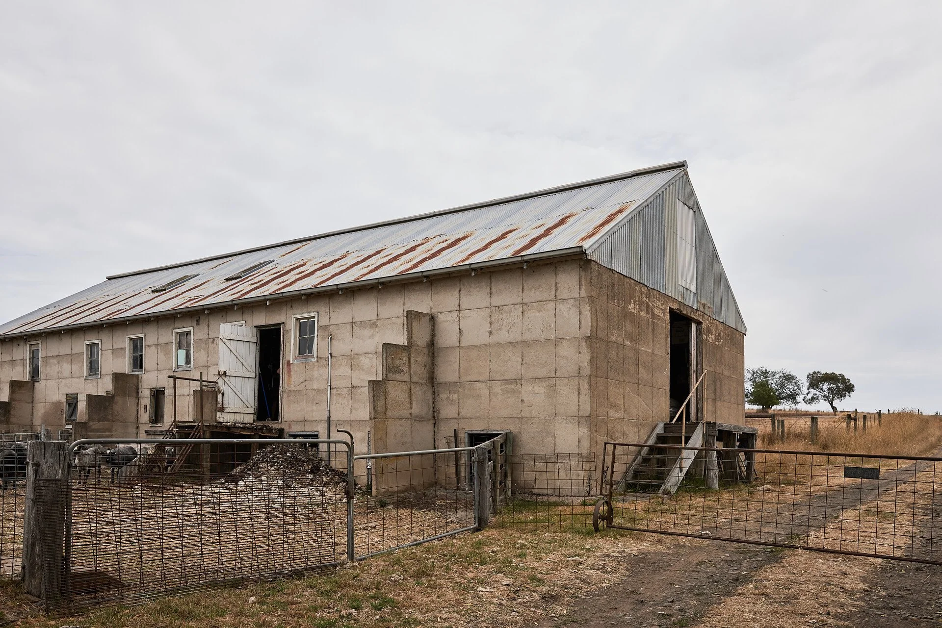 Β©CMcConville_TARNDIE_Feb2024_072_LR.jpg