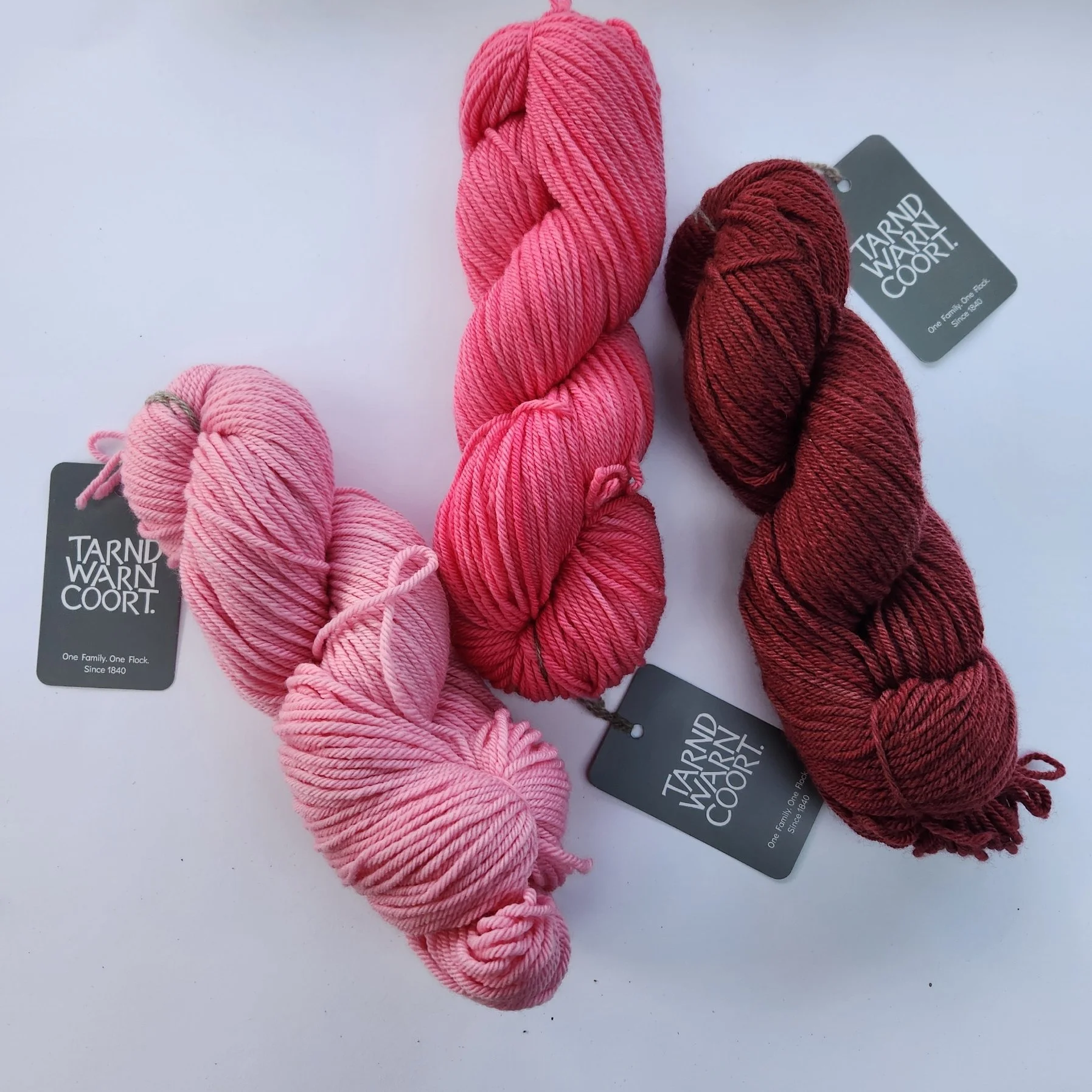 8ply Hand-Dyed Polwarth Yarns (DK)