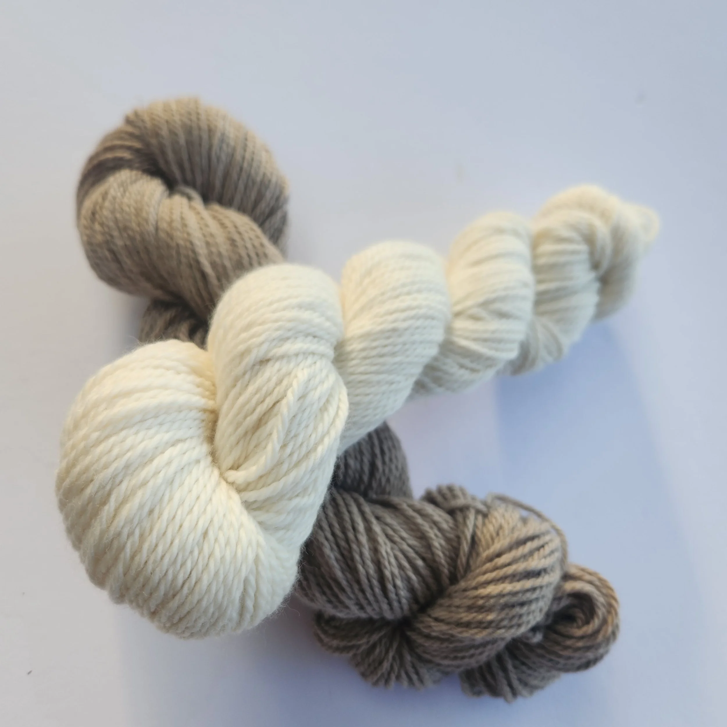 10ply Naturally Coloured Polwarth Yarn (Aran)