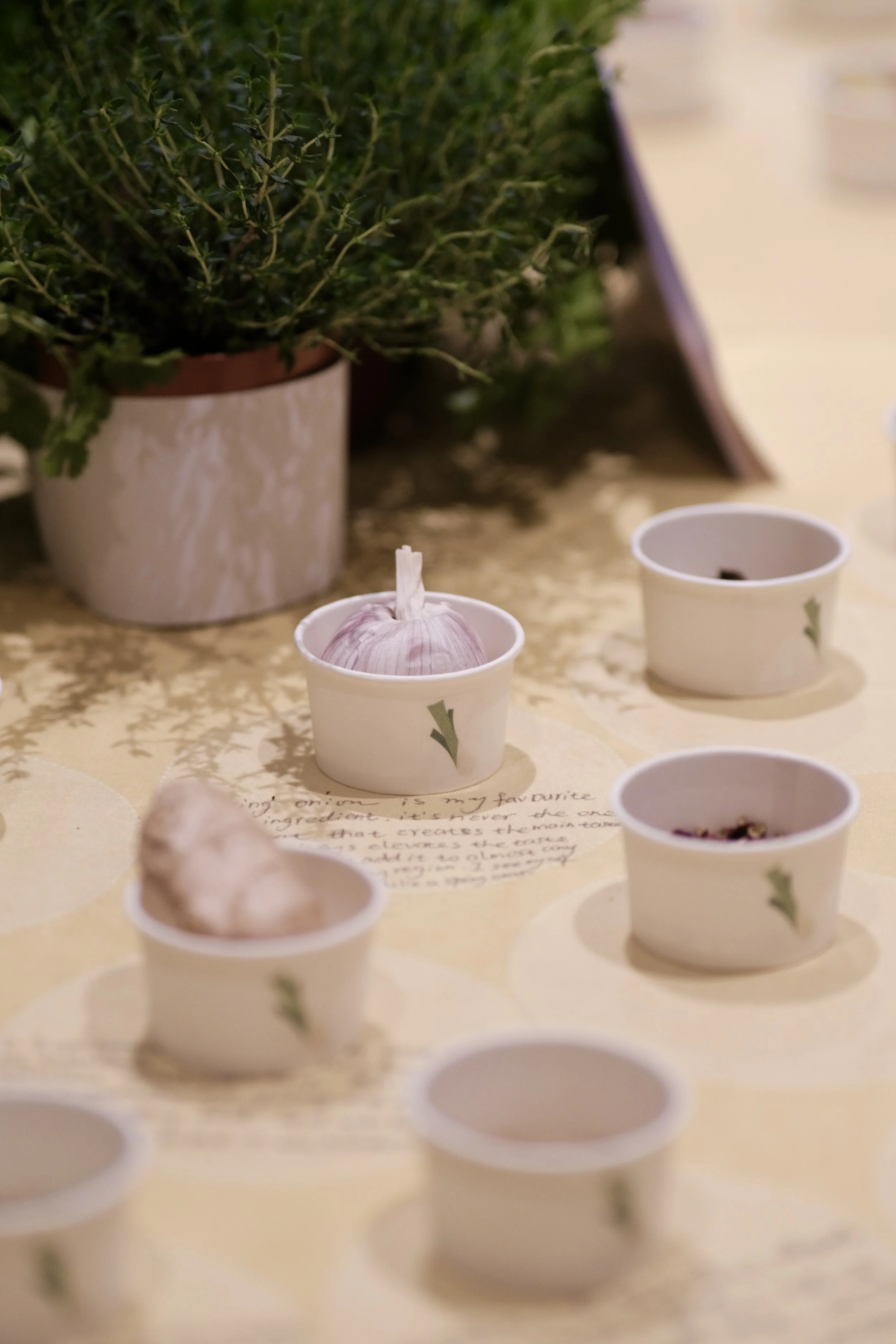 Round table THREE: Roots and Herbs
