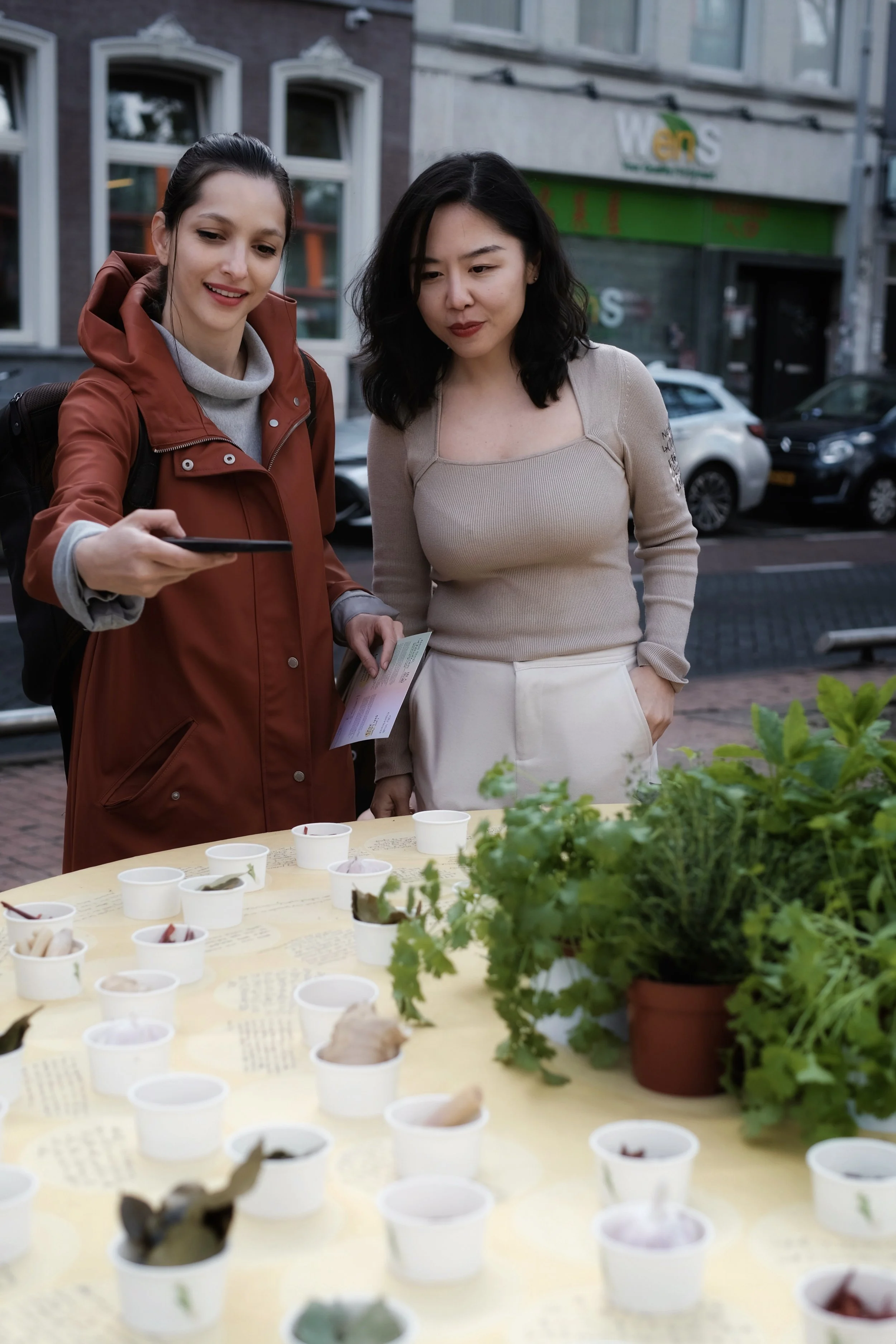 Round table THREE: Roots and Herbs