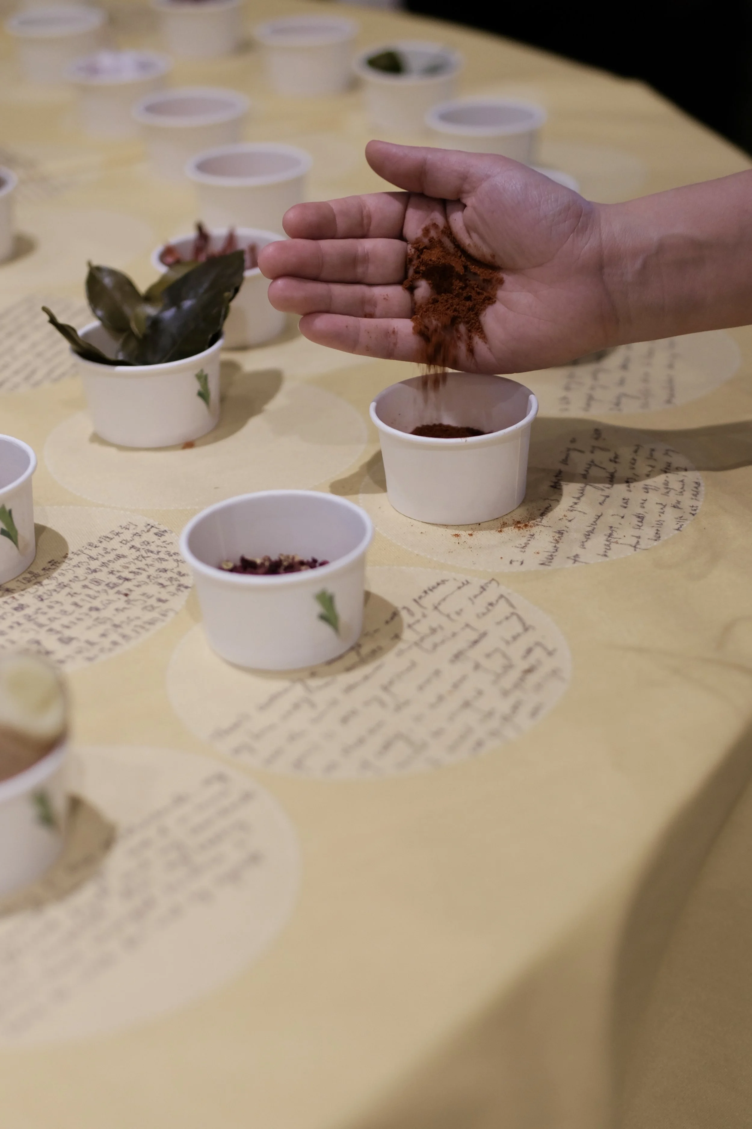 Round table THREE: Roots and Herbs
