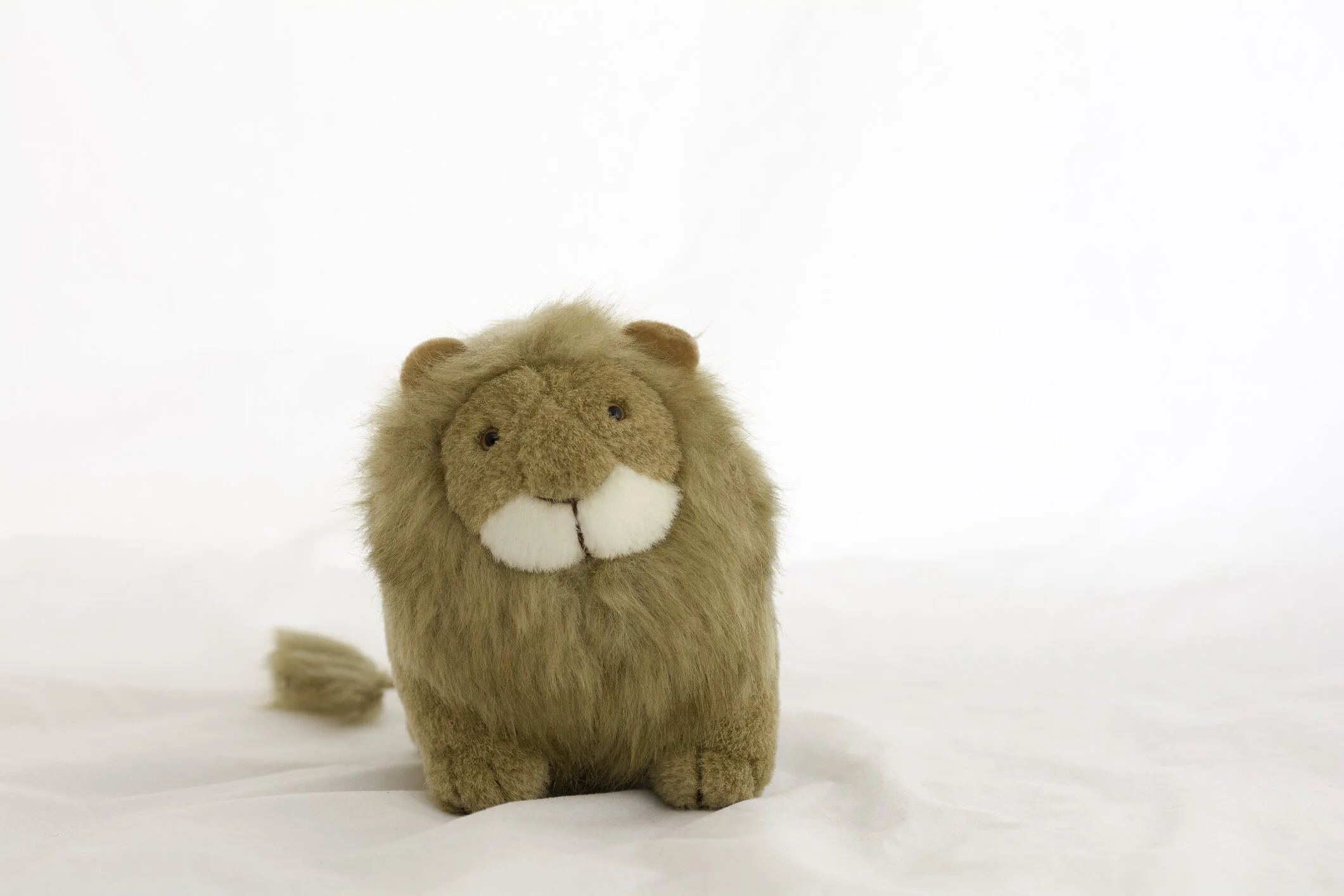 Photo by supaneesukanakintr/iStock / Getty Images