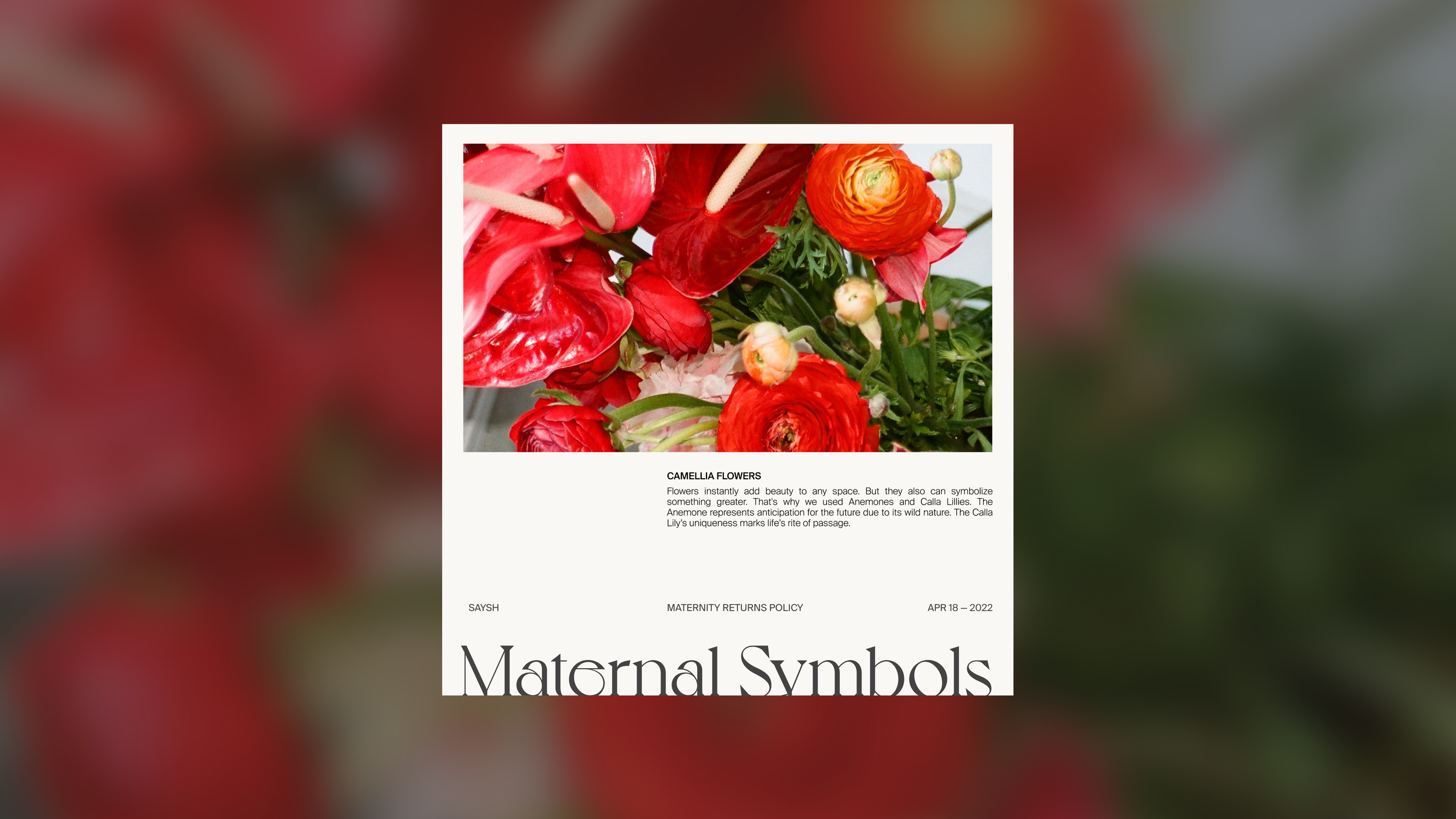 Saysh Maternity Returns Program-1.png