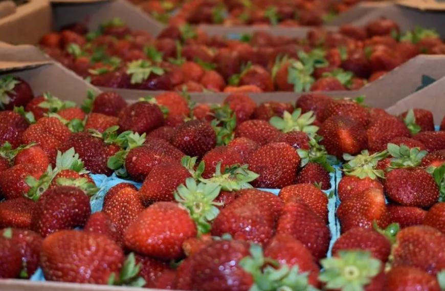 St. Stephen's Strawberry Festival- Heathsville, VA