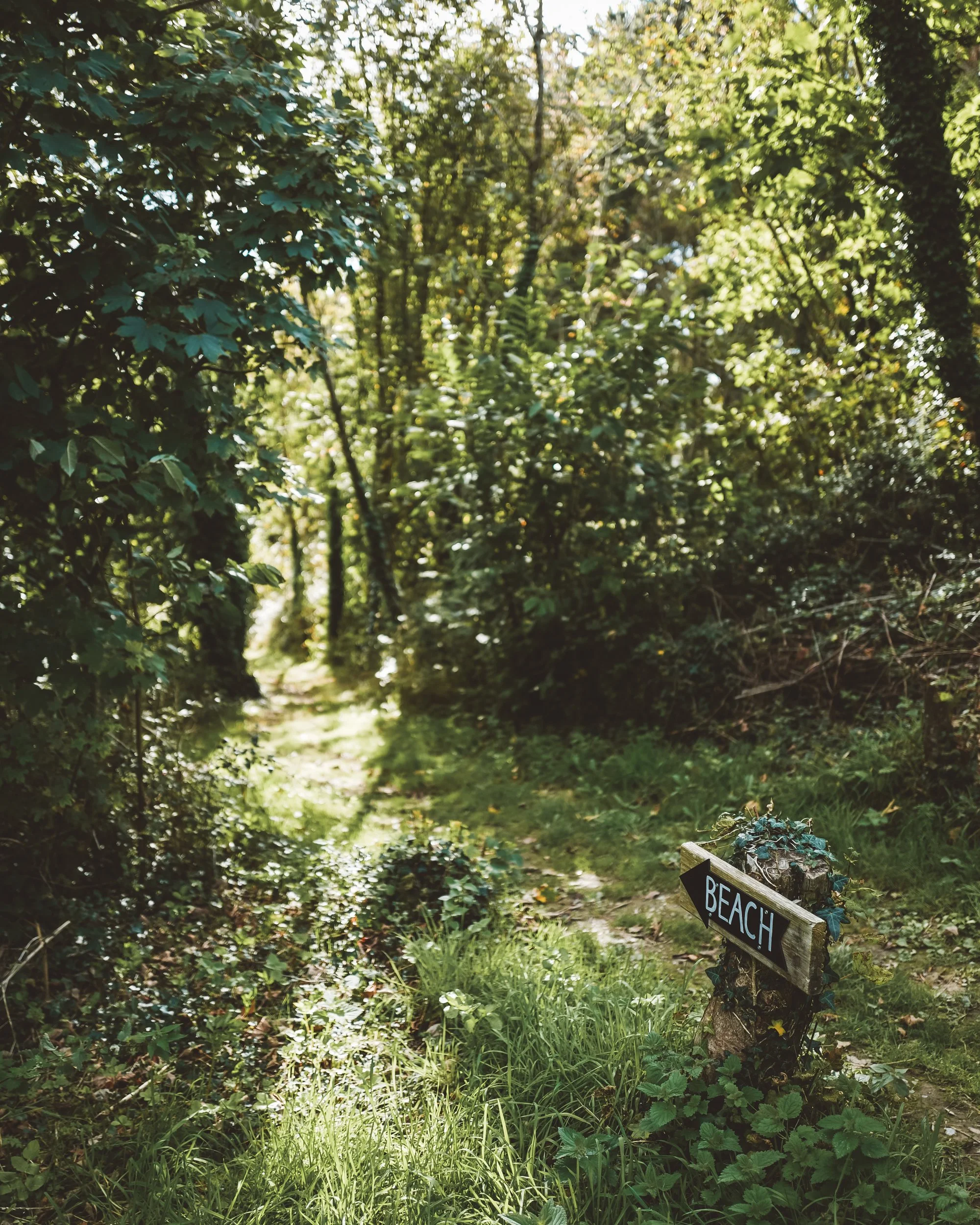 Merlin Farm-Autumn 25-14.jpg