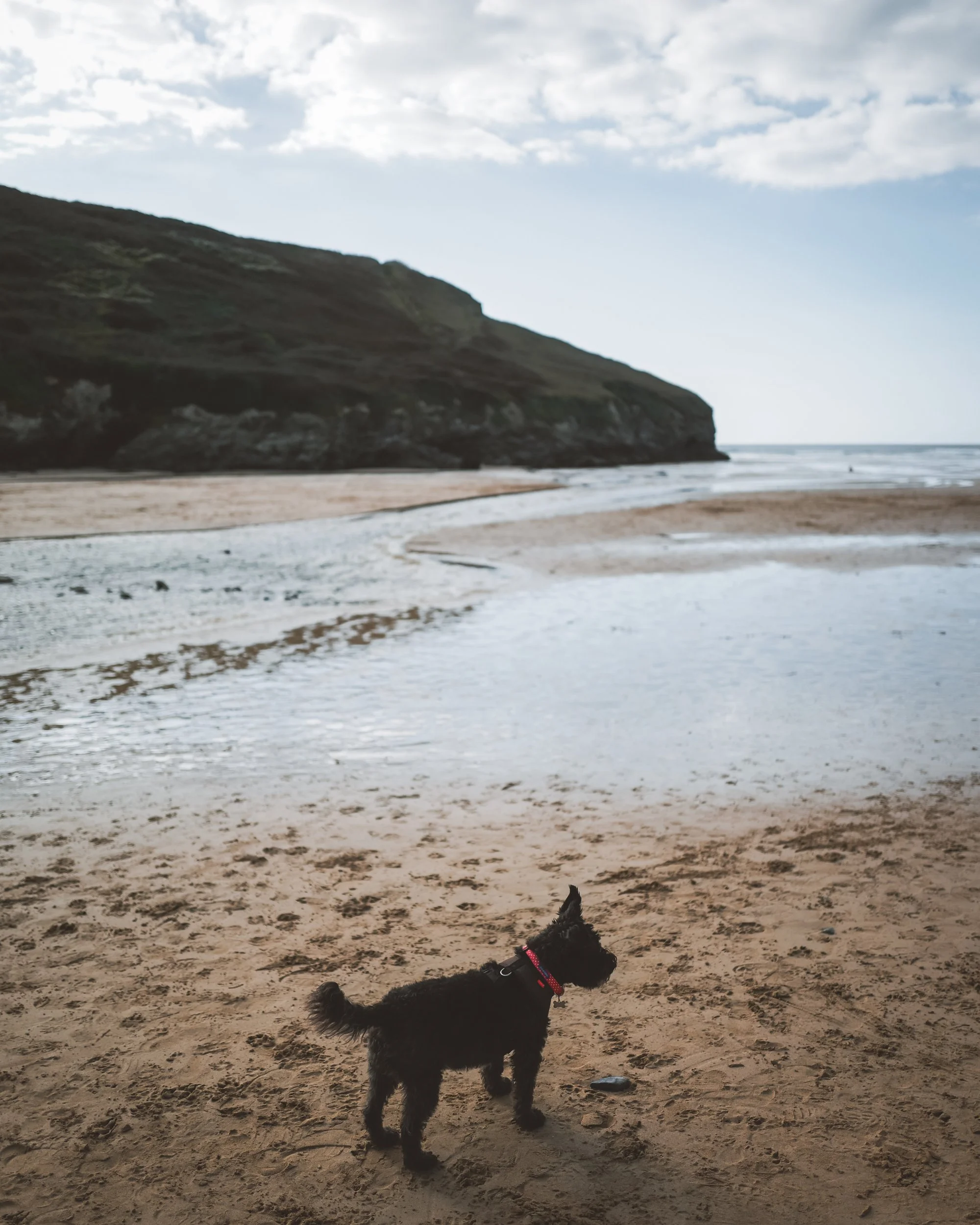 Merlin Farm-Autumn 25-180.jpg