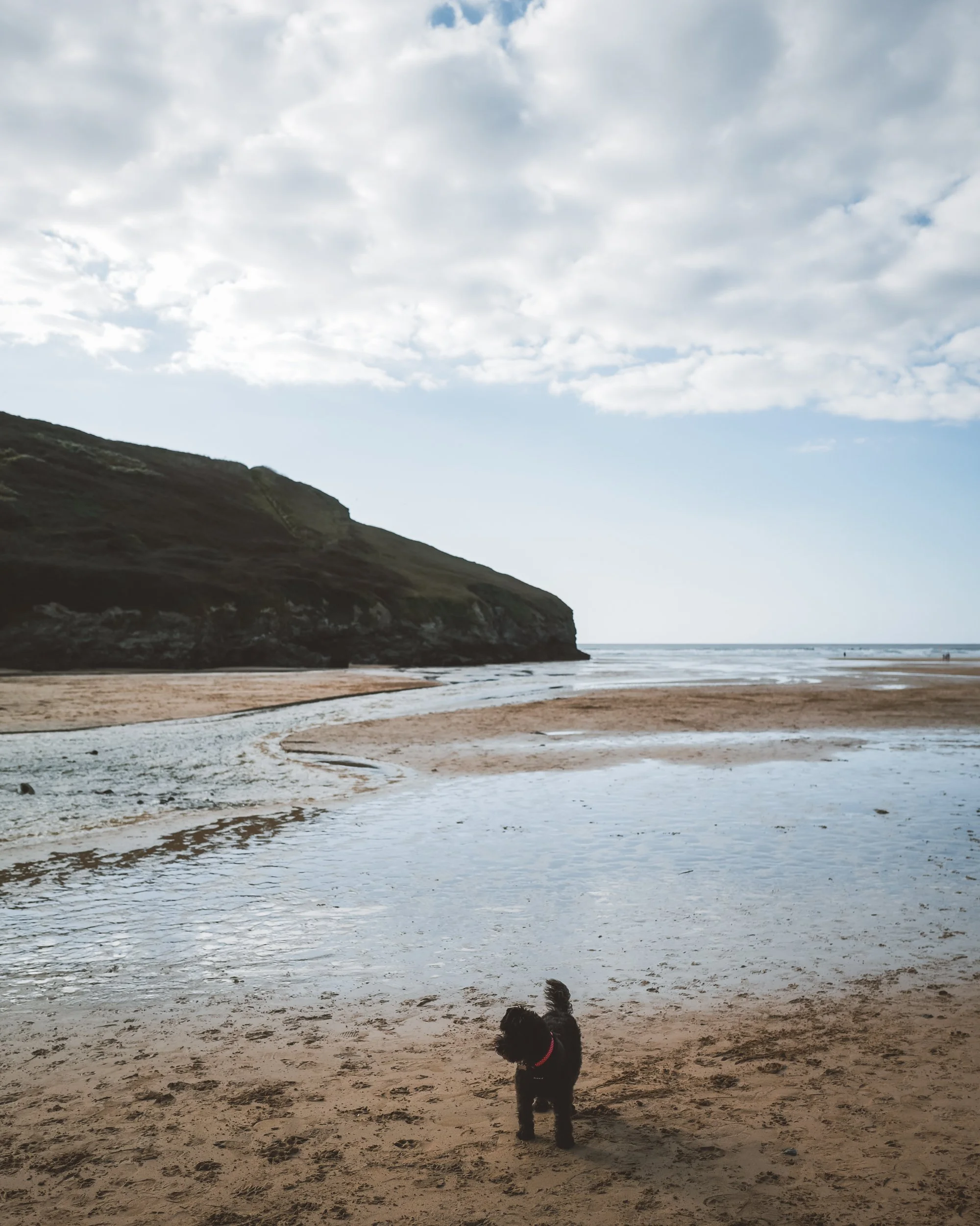 Merlin Farm-Autumn 25-16.jpg