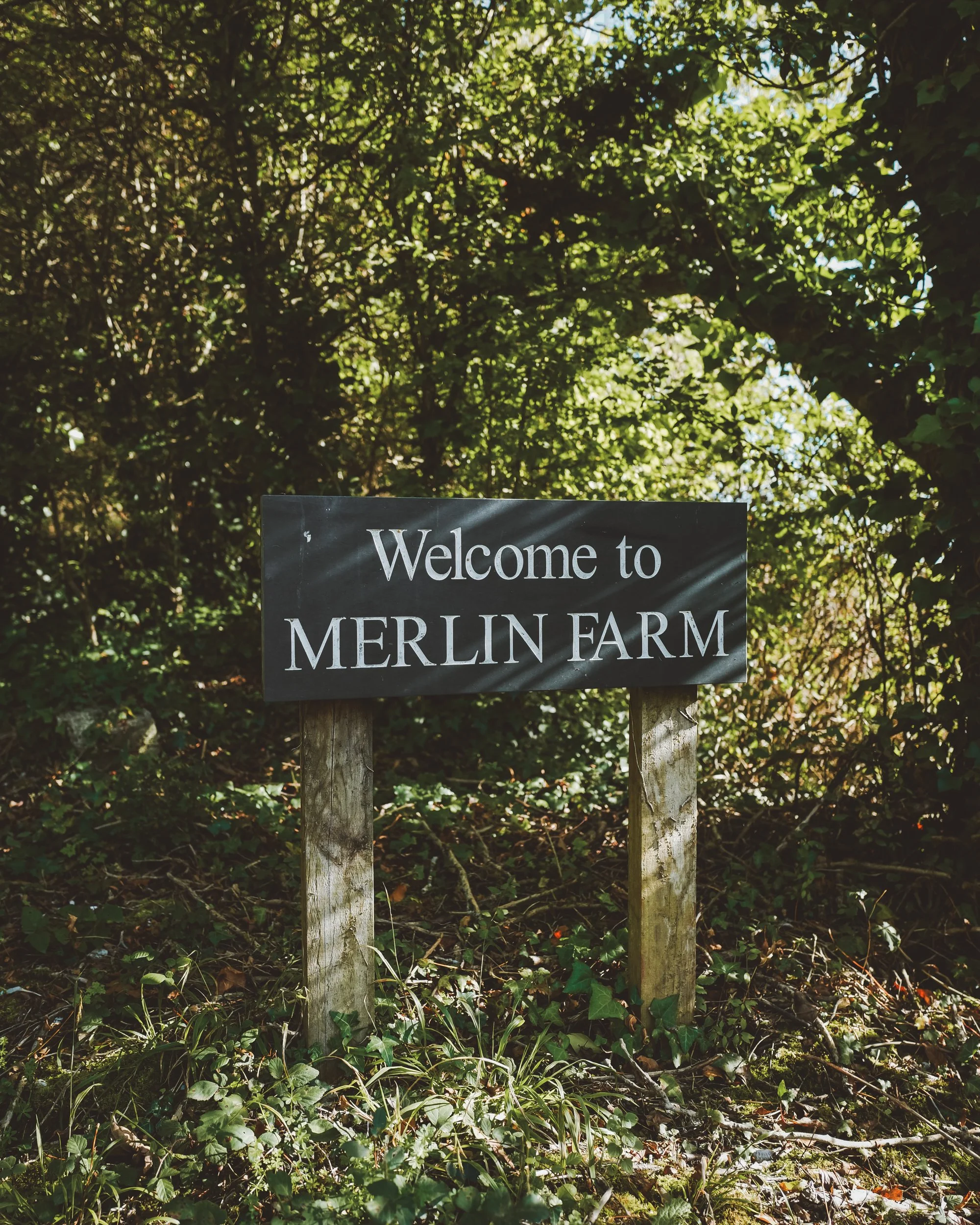 Merlin Farm-Autumn 25-7.jpg