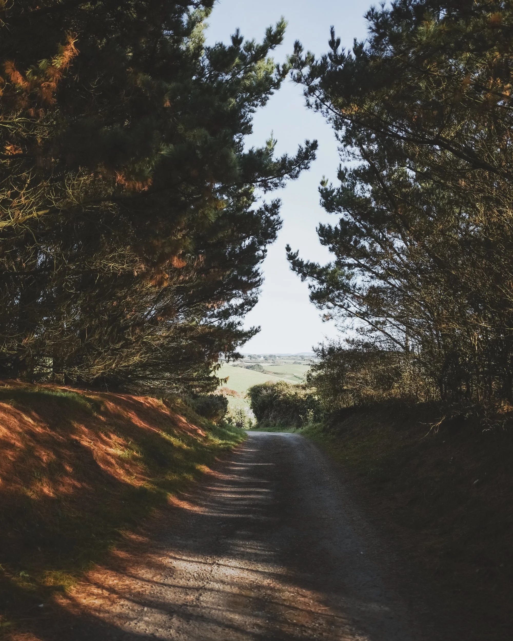 Merlin Farm-Autumn 25-29.jpg