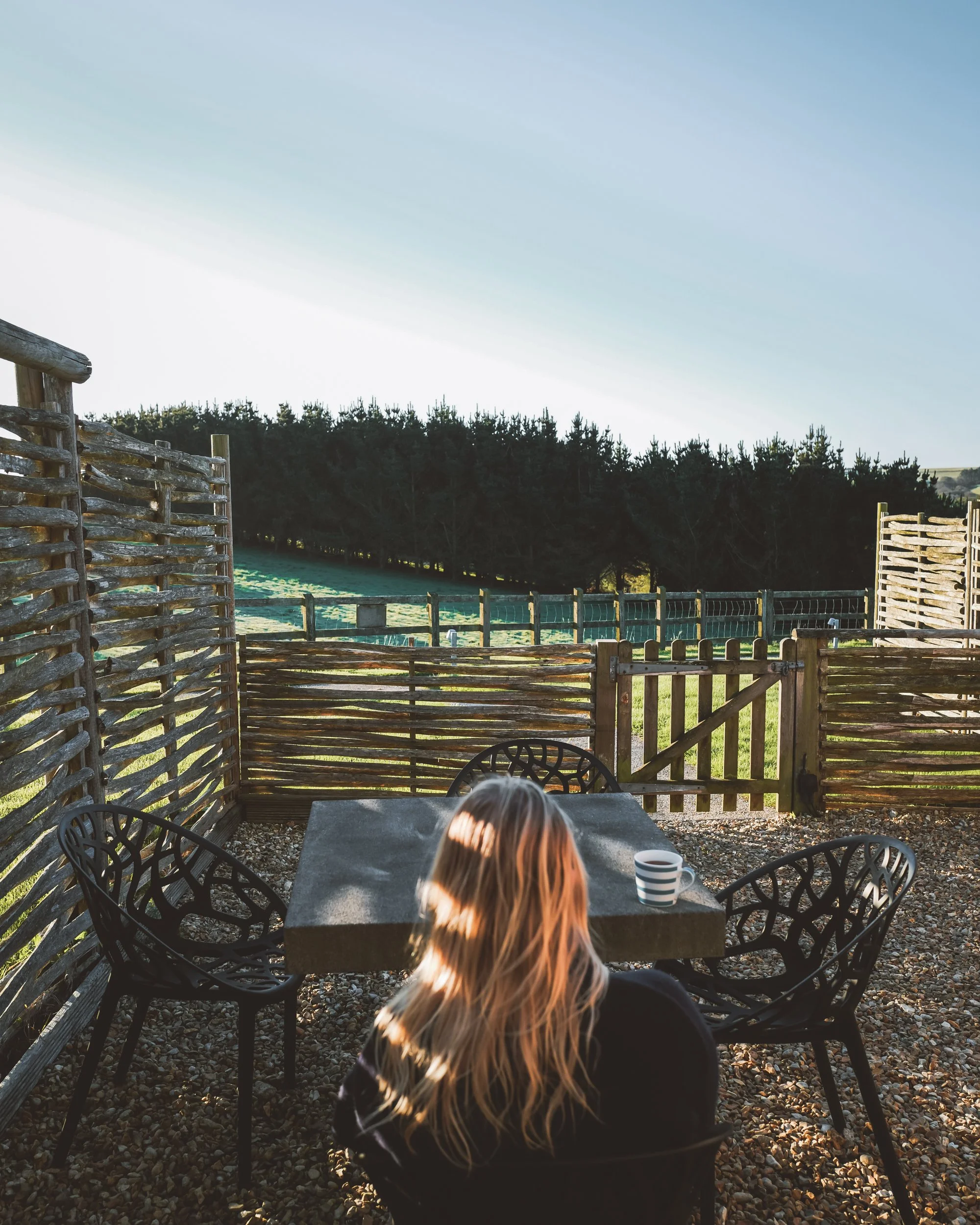 Merlin Farm-Autumn 25-26.jpg