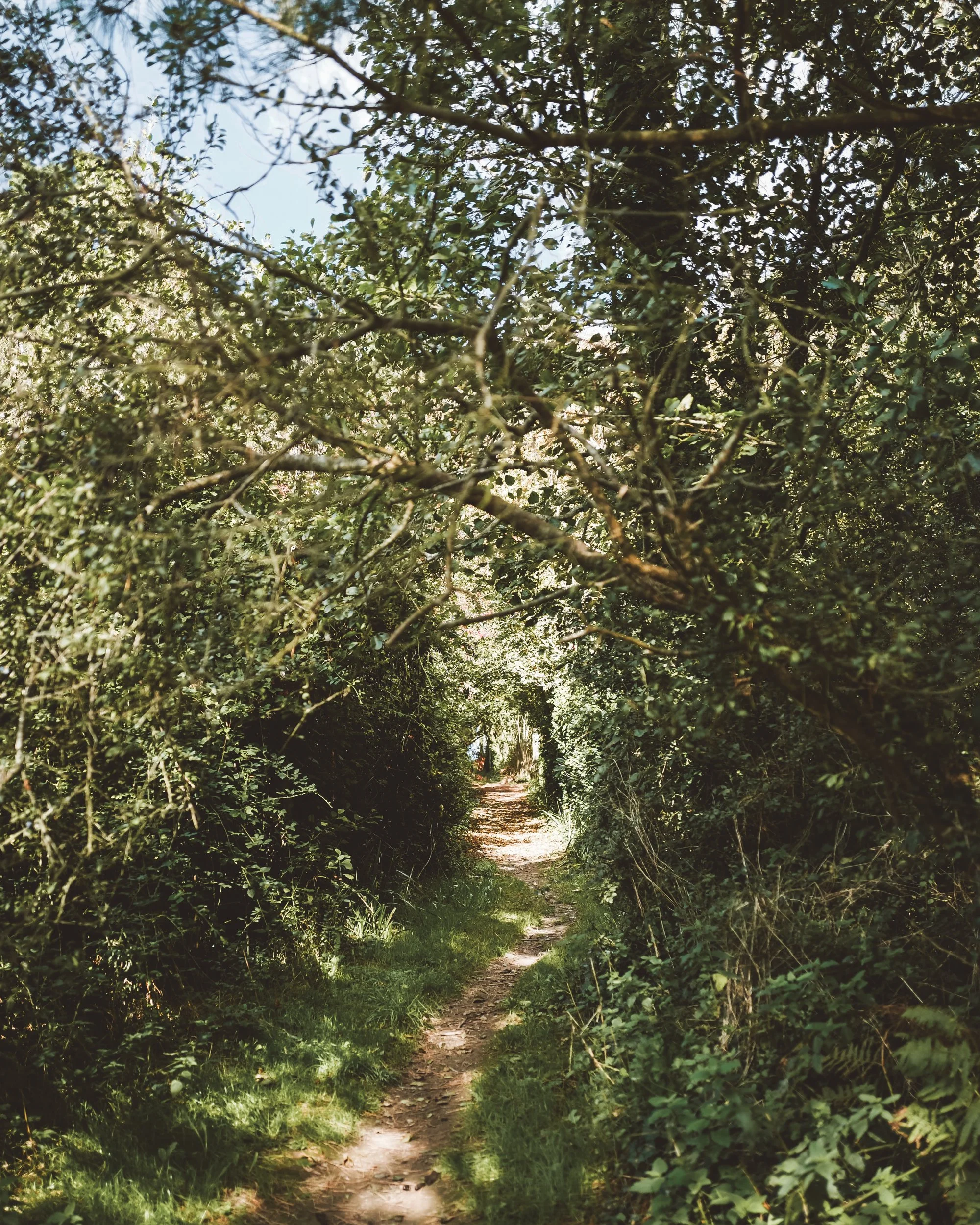 Merlin Farm-Autumn 25-15.jpg