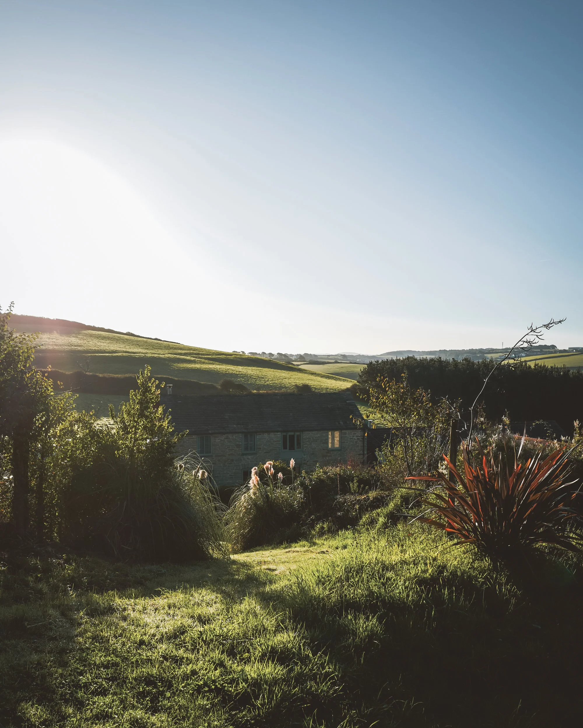 Merlin Farm-Autumn 25-24.jpg