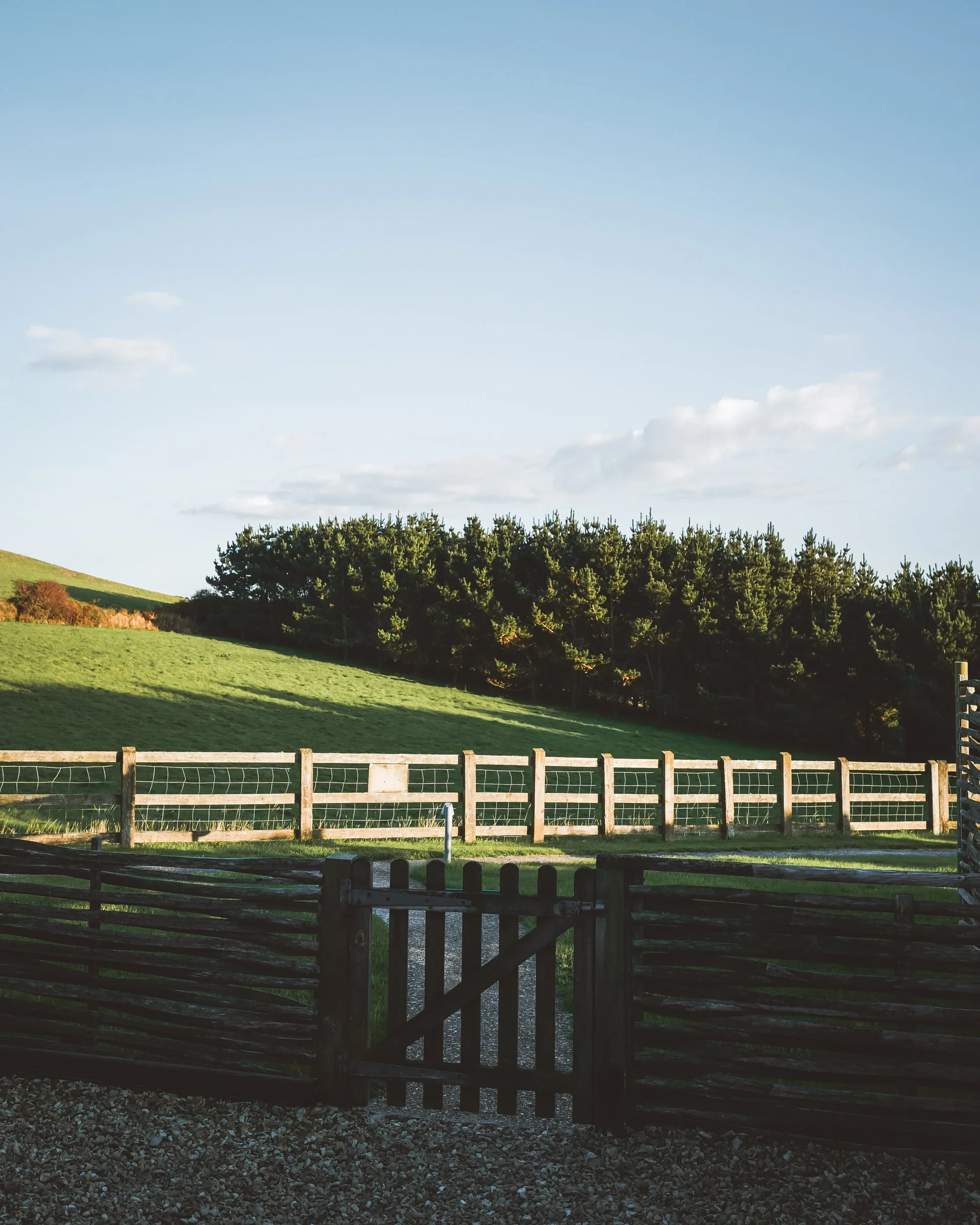 Merlin Farm-Autumn 25-18.jpg