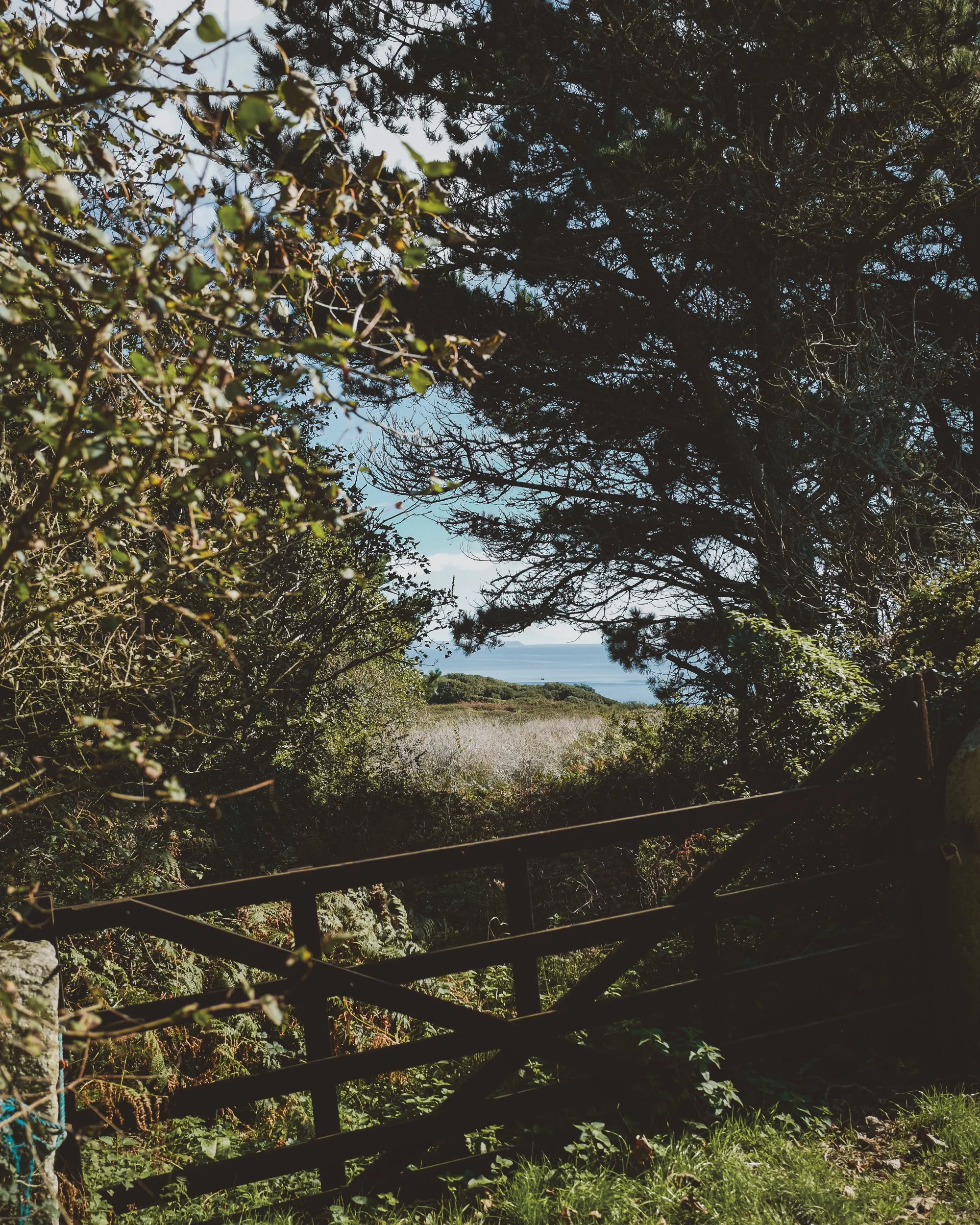 Cornwall Sept 25-3a.jpg