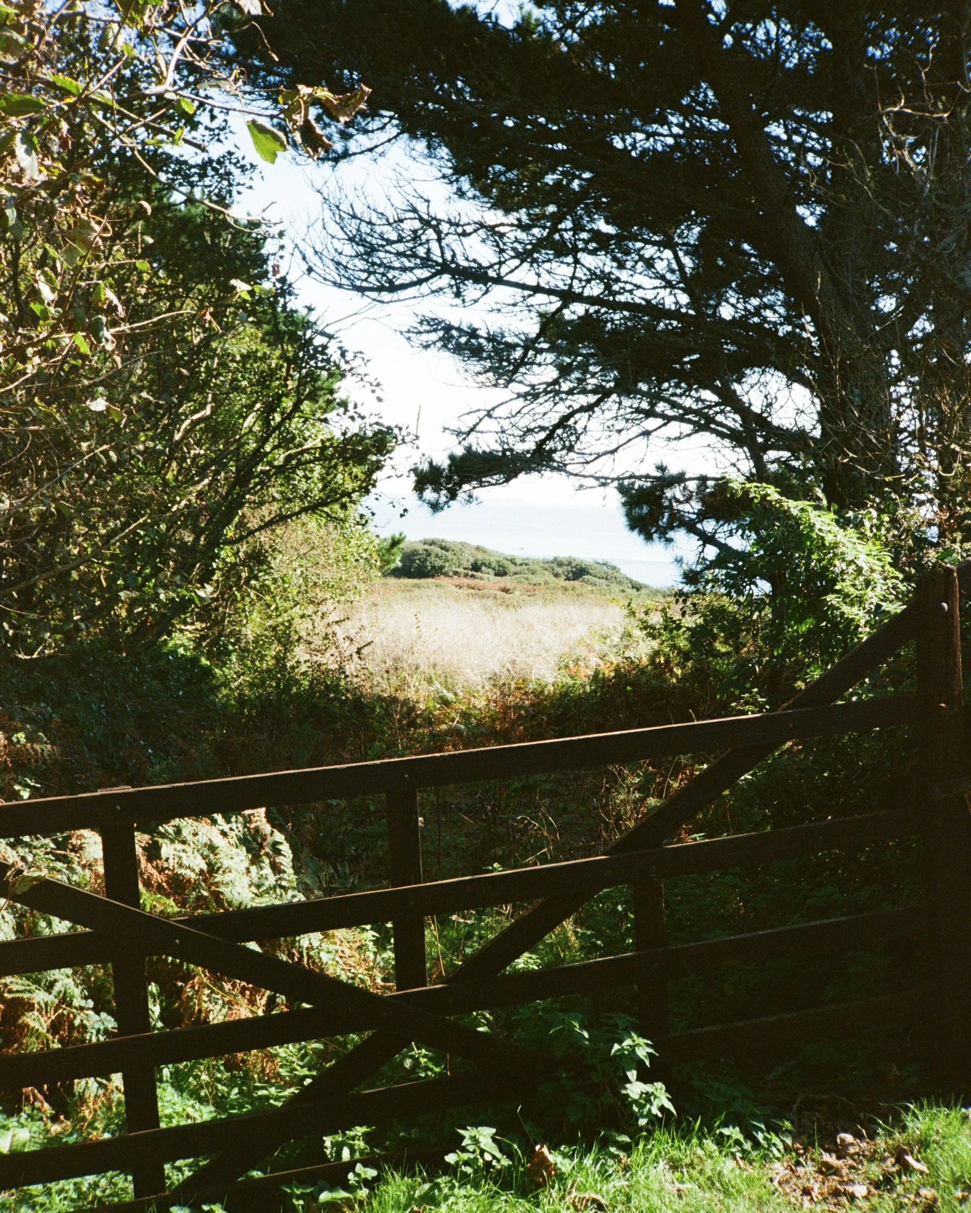 West Cornwall On Film-25-6.jpg