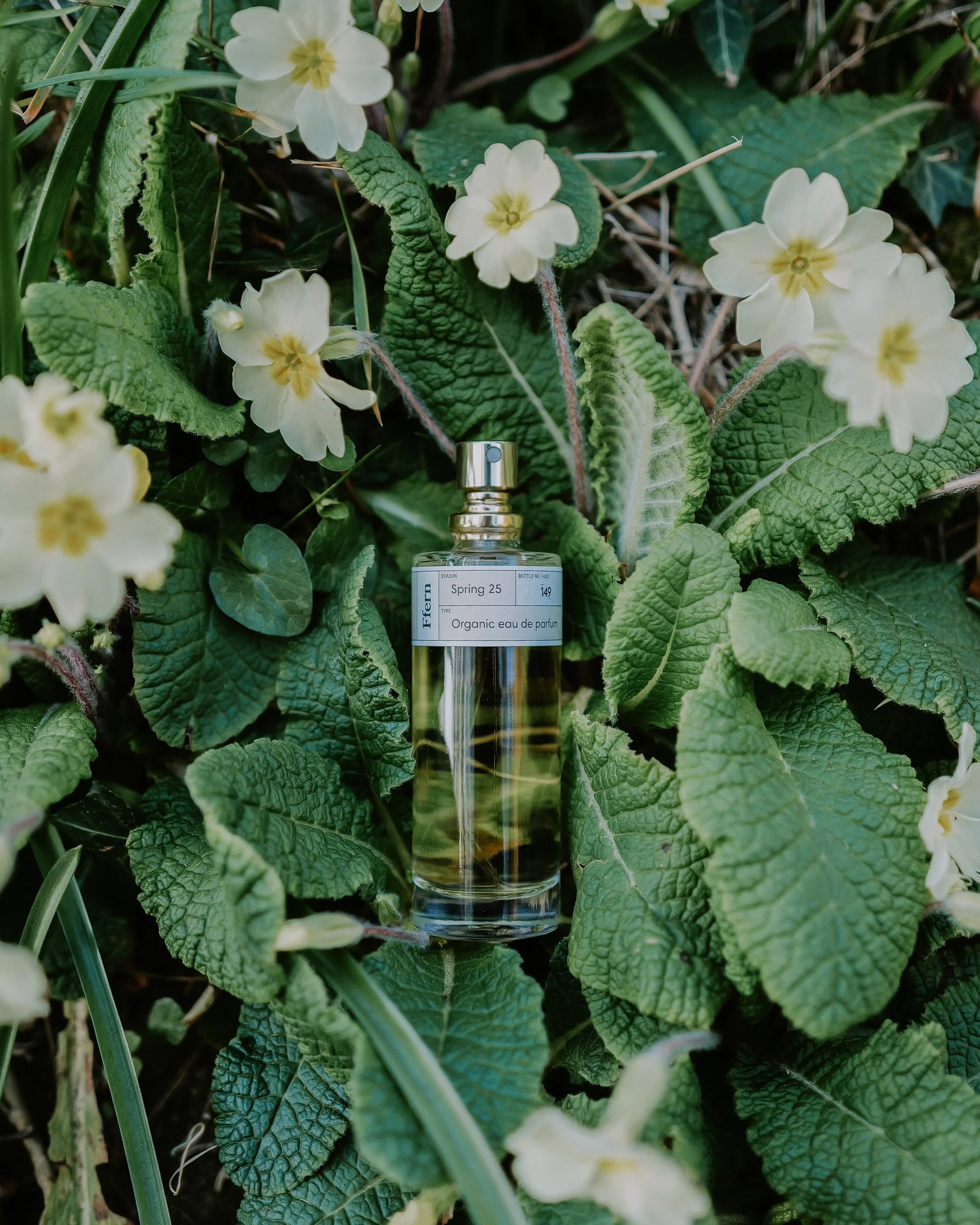 Through The Seasons- With Ffern.