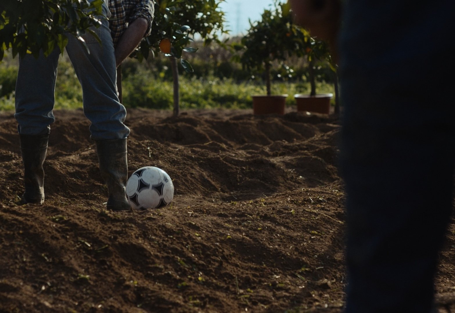 Mcdonals-colorstills_1.155.13 copia.jpg