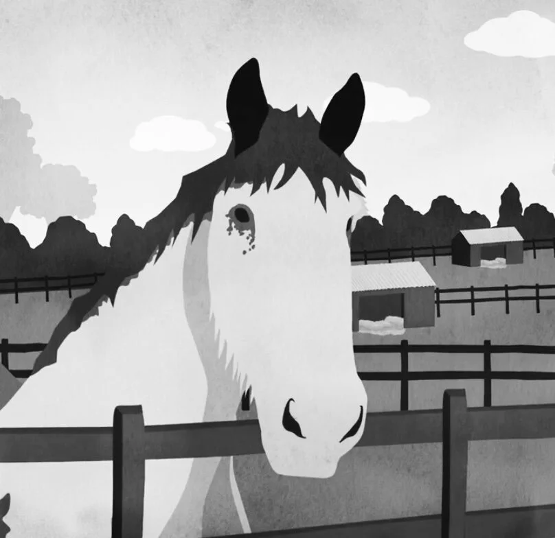 Boo's story for Redwings