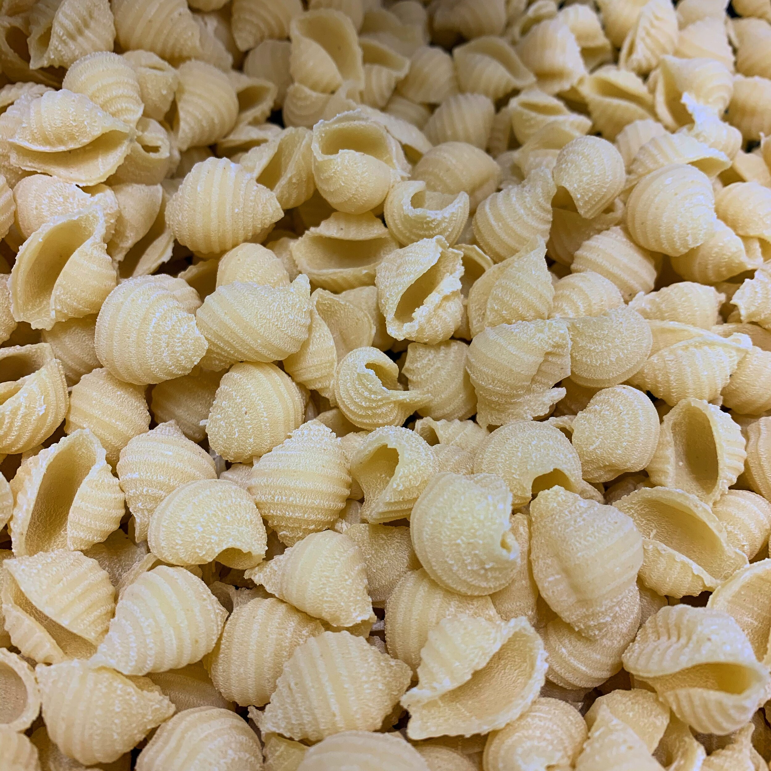 Carosello Pasta