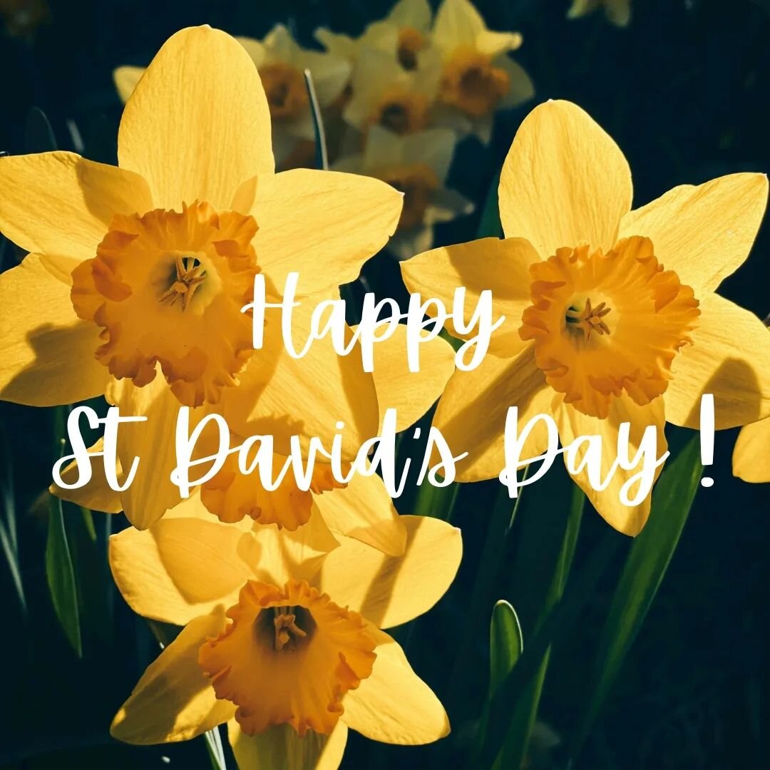 St David&rsquo;s Day is a day of parades, concerts and eisteddfodau (festivals of music, language and culture).

Some children go to school in traditional Welsh dress, flags are flown, and the Welsh national anthem is sung with extra fervour.

Around