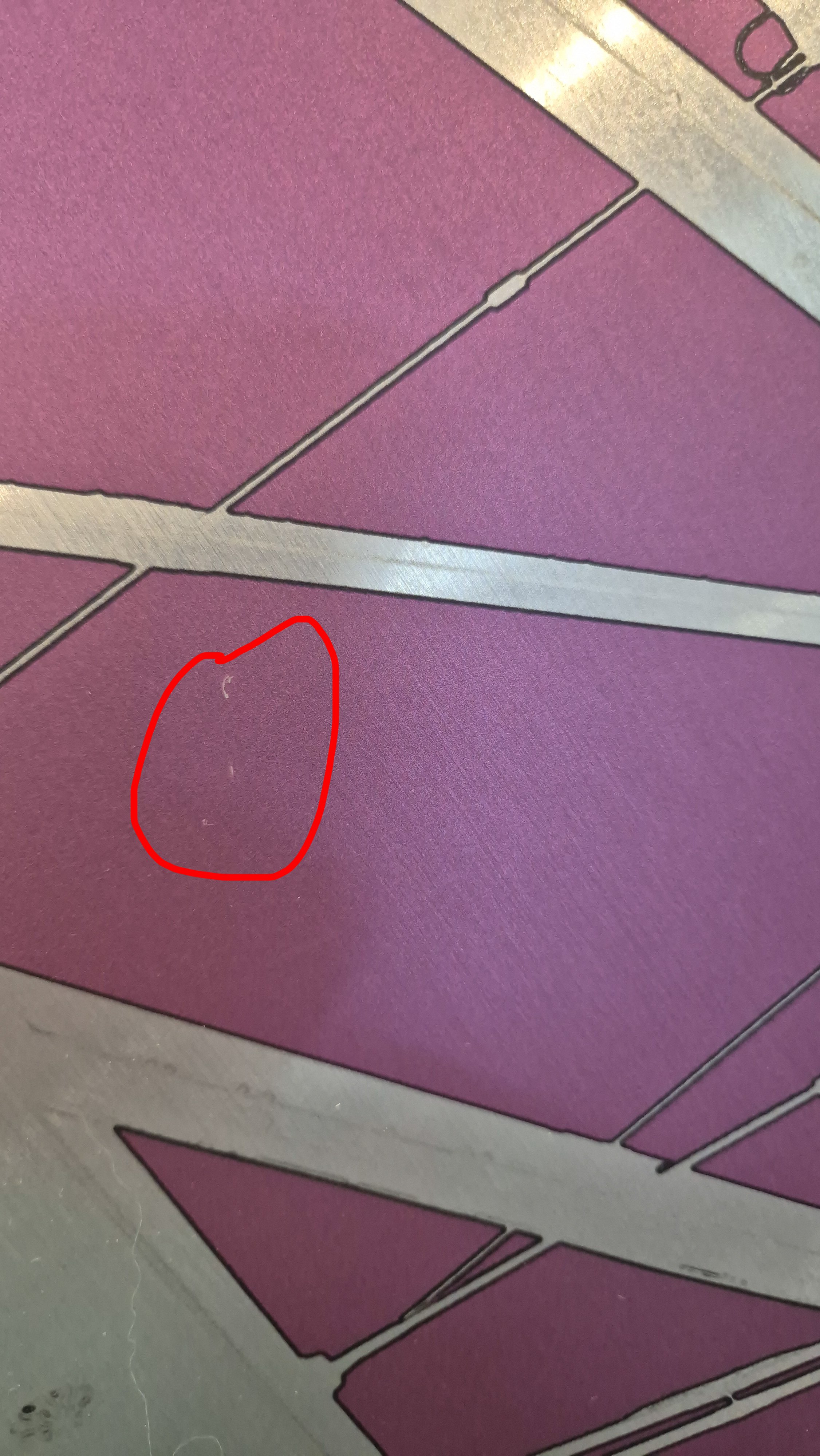 albert purple damage.jpg