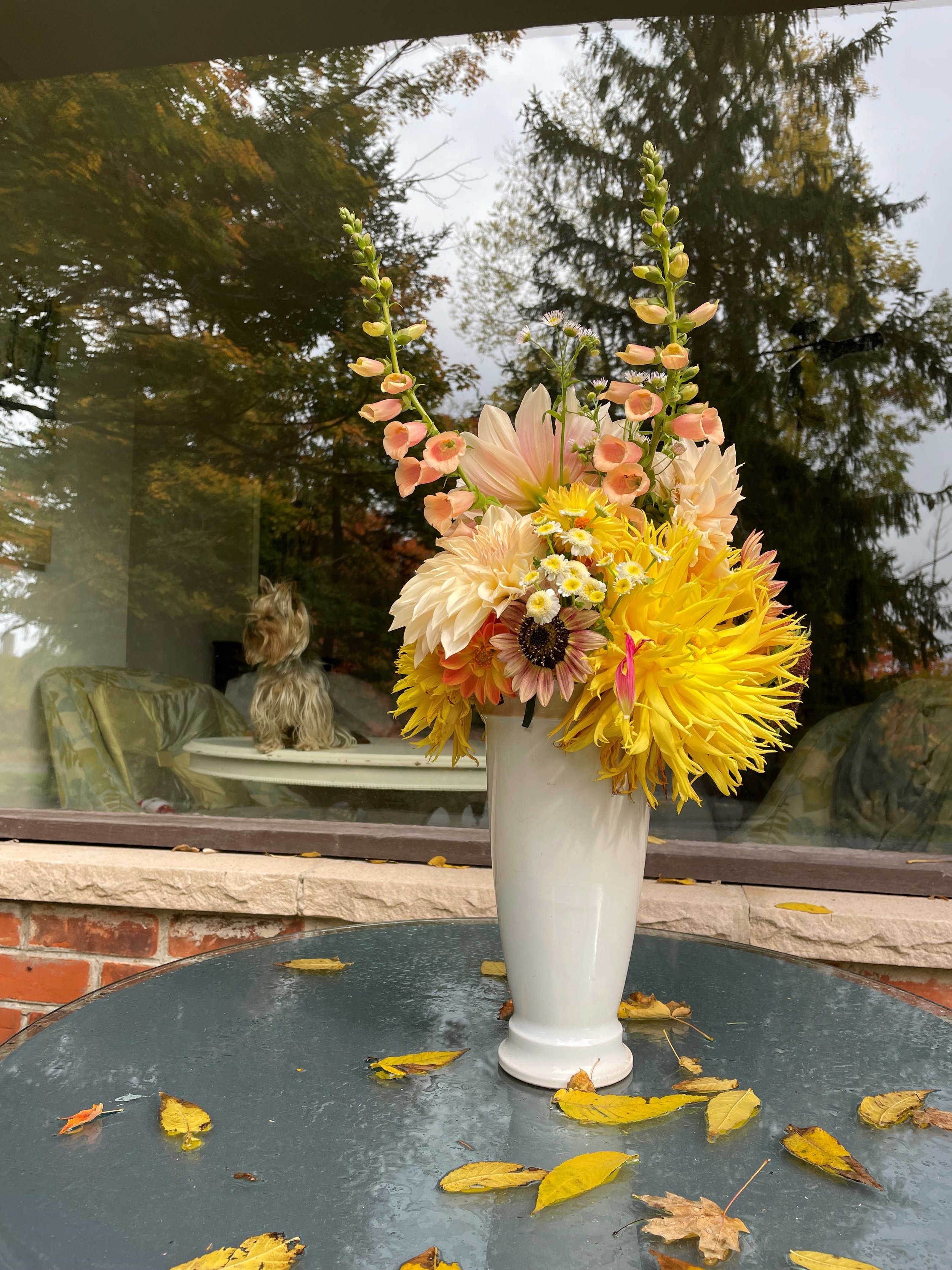 sunflower.jpg