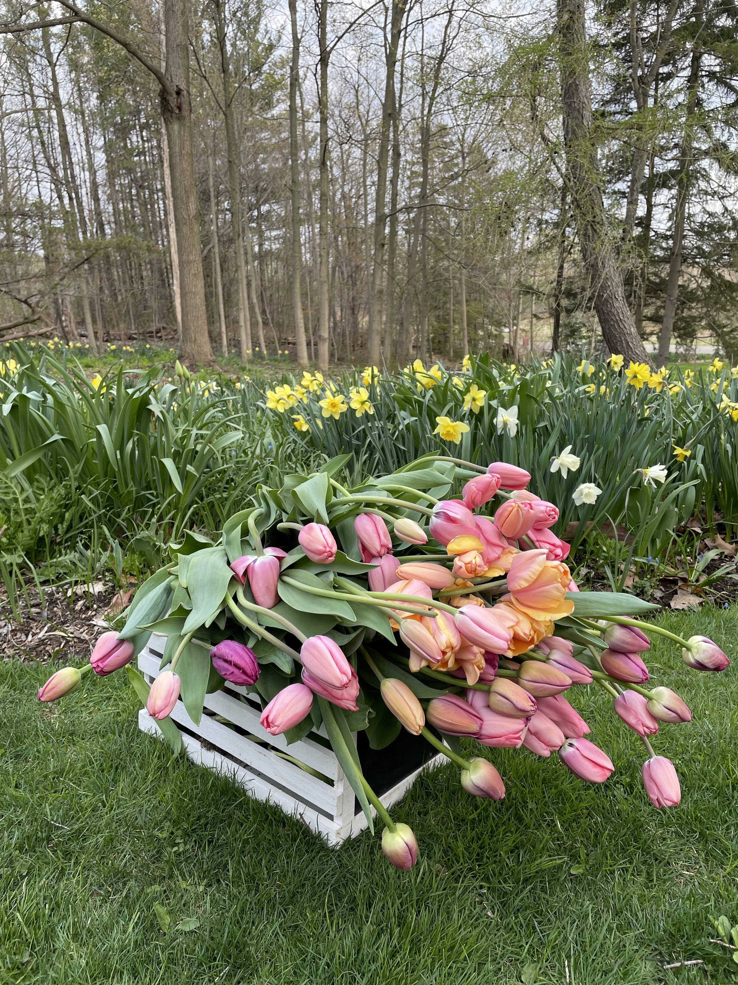 Mother's Day Bouquets