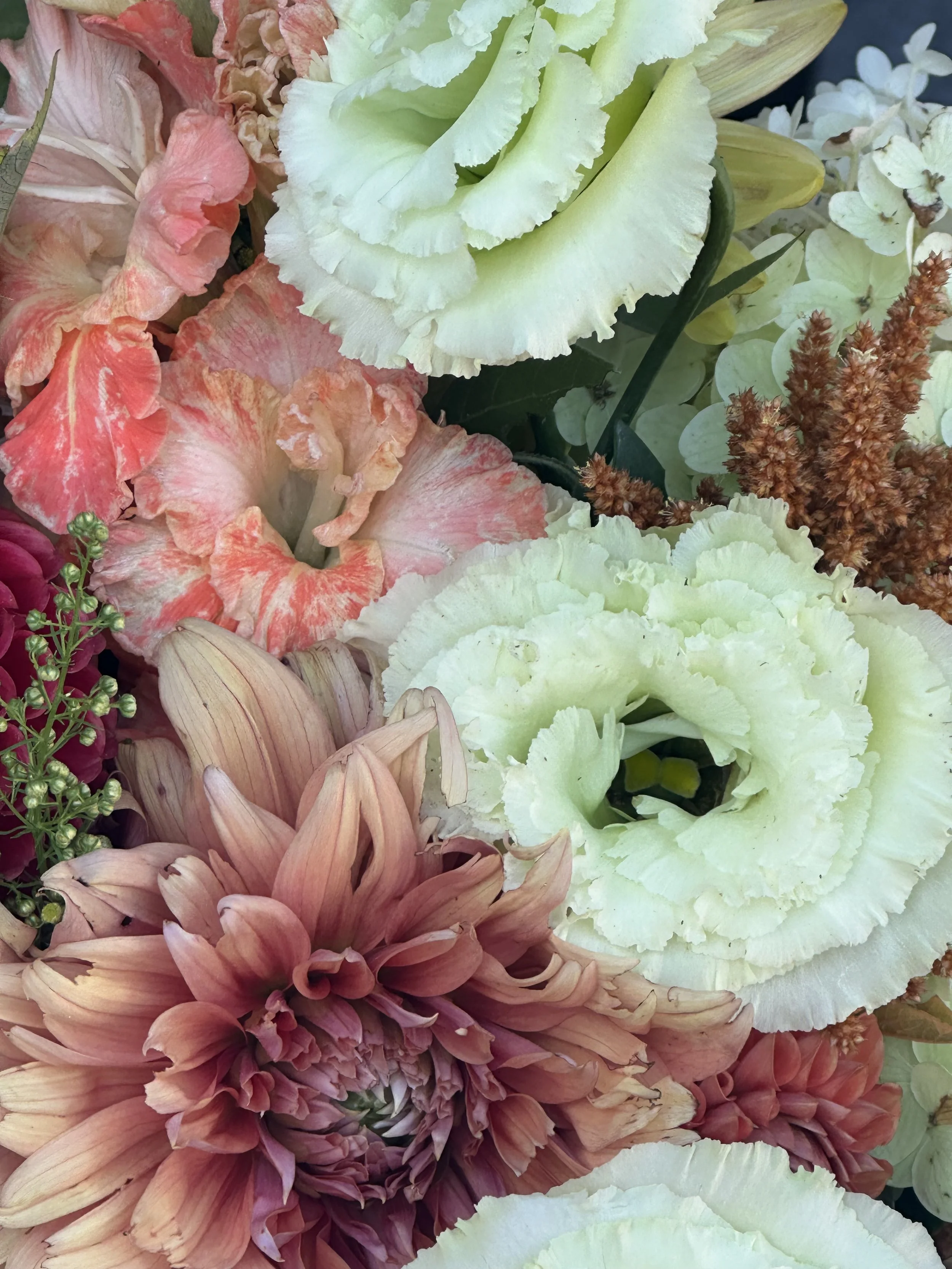 2025 pantone colour of the year.jpg