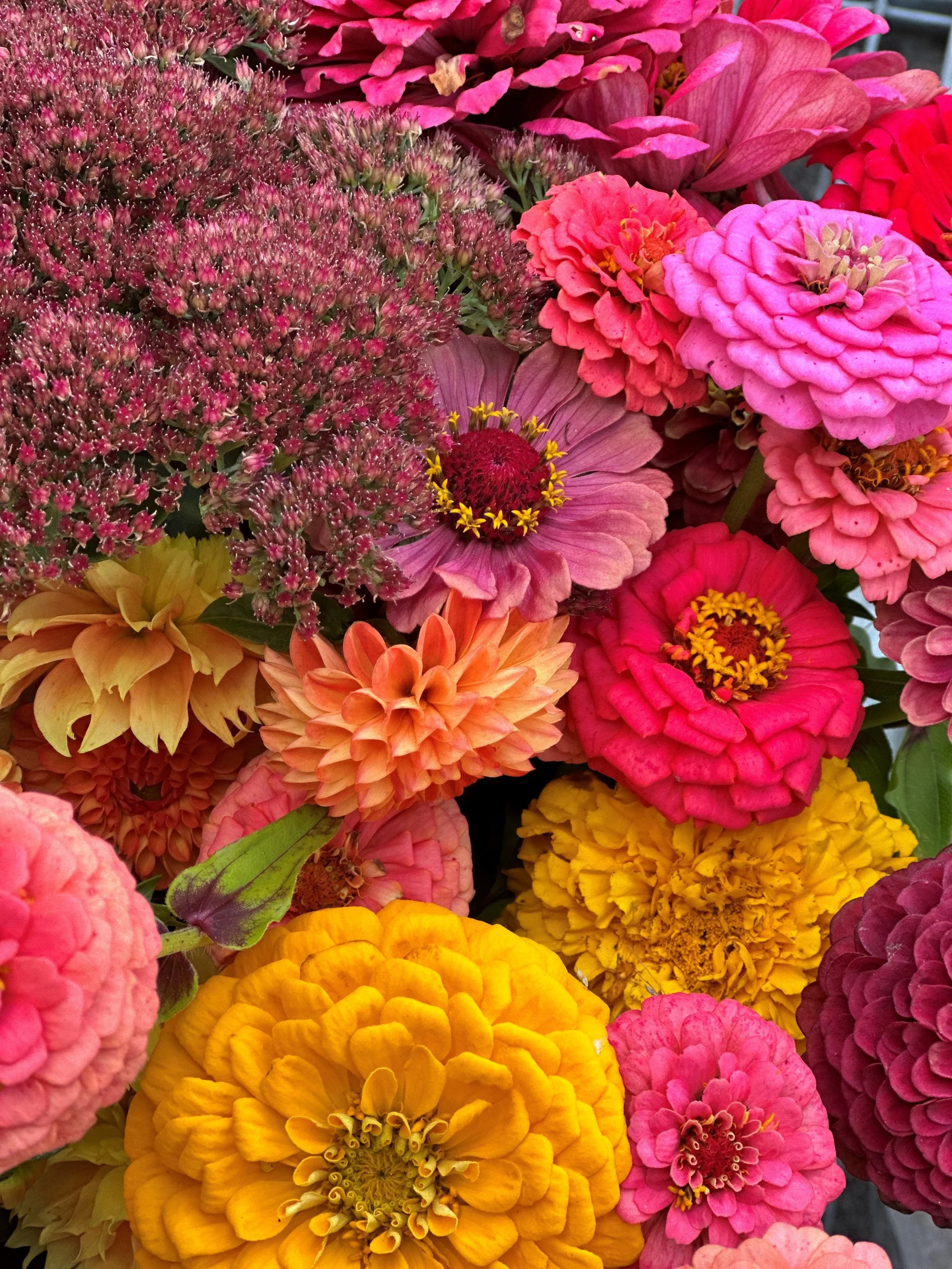 hot pink summer bouquet.jpg