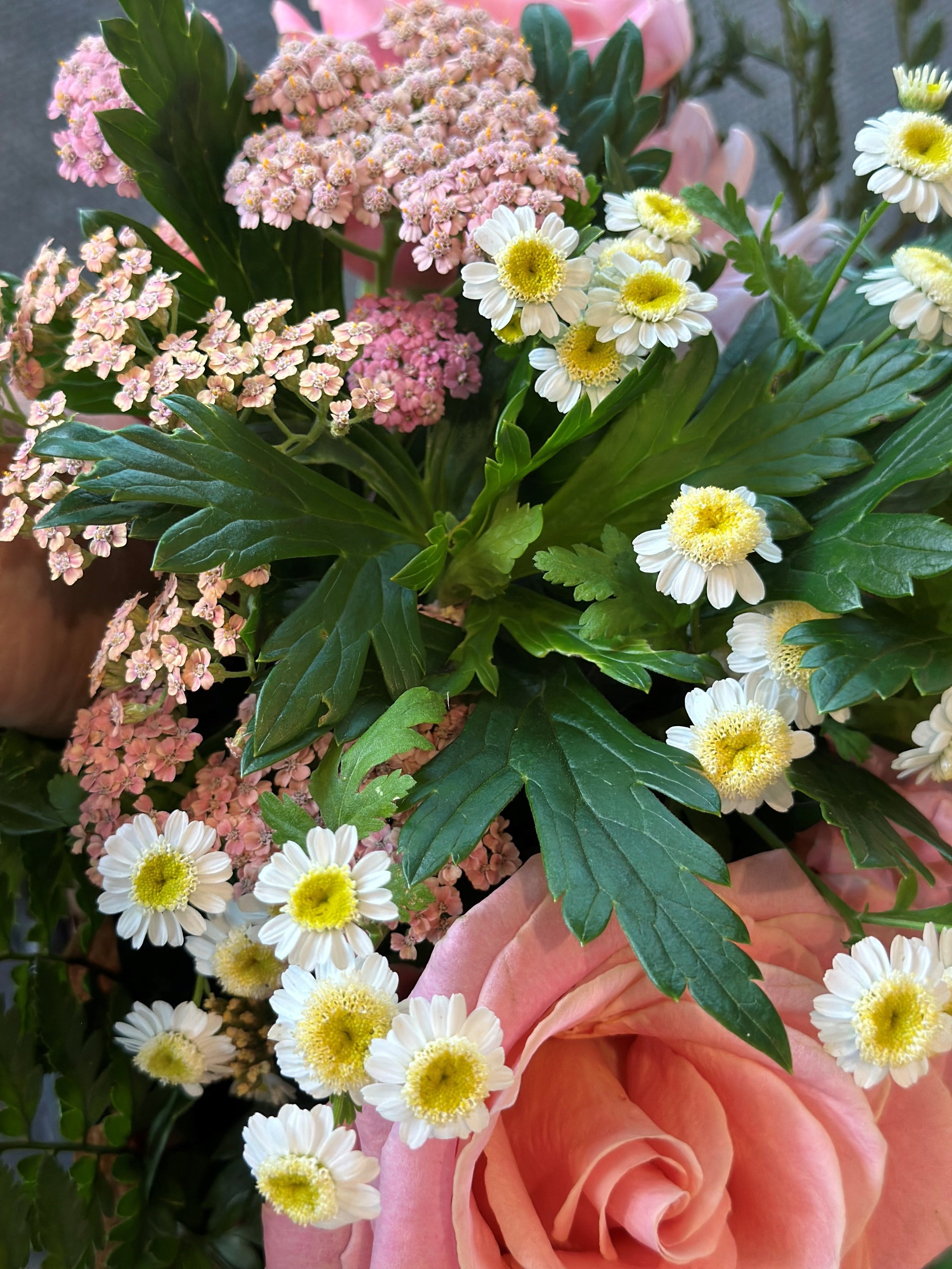 spring 6.jpg