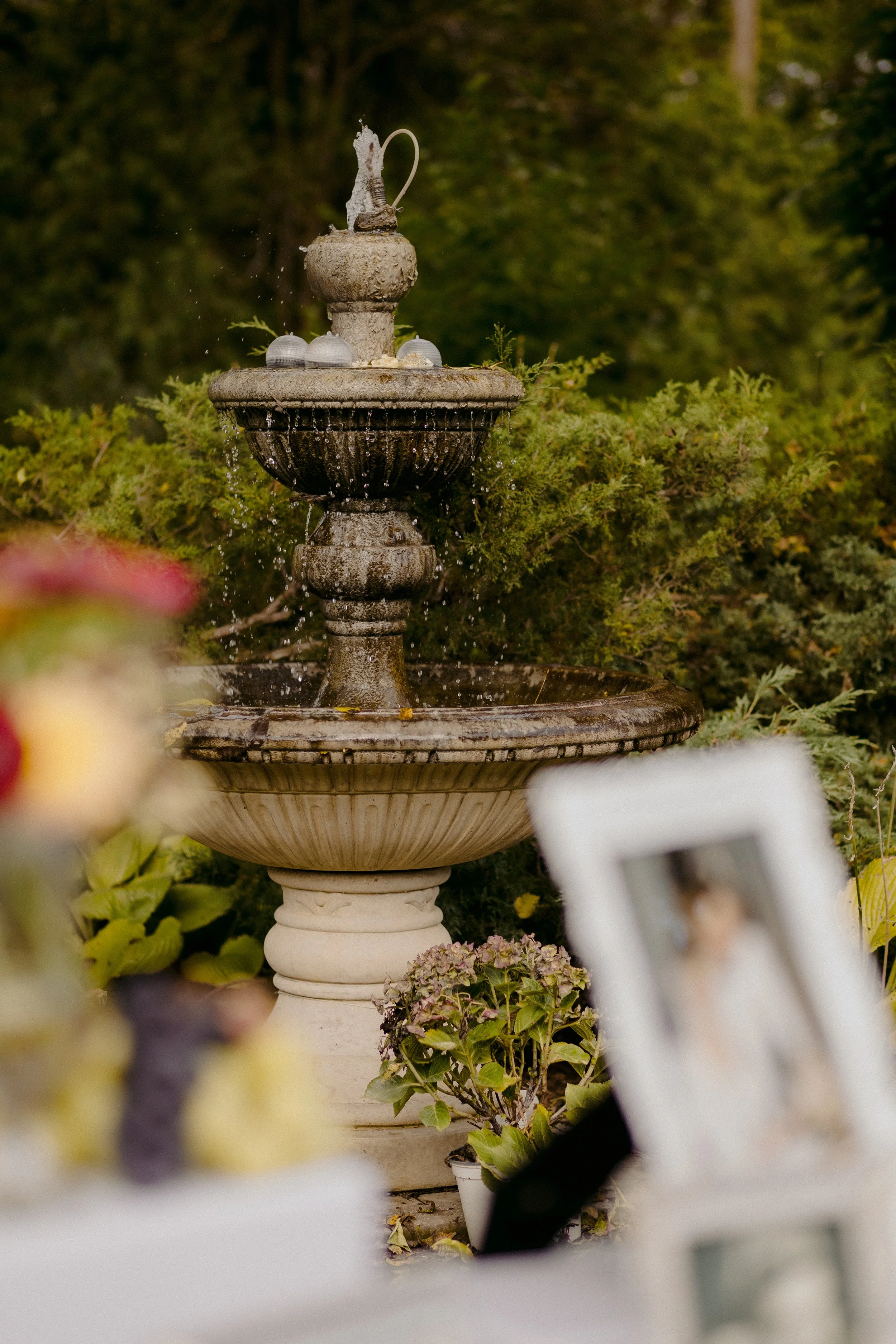 23-0916DA-DanijelaWeddings-wedding-final-600 - Copy.jpg