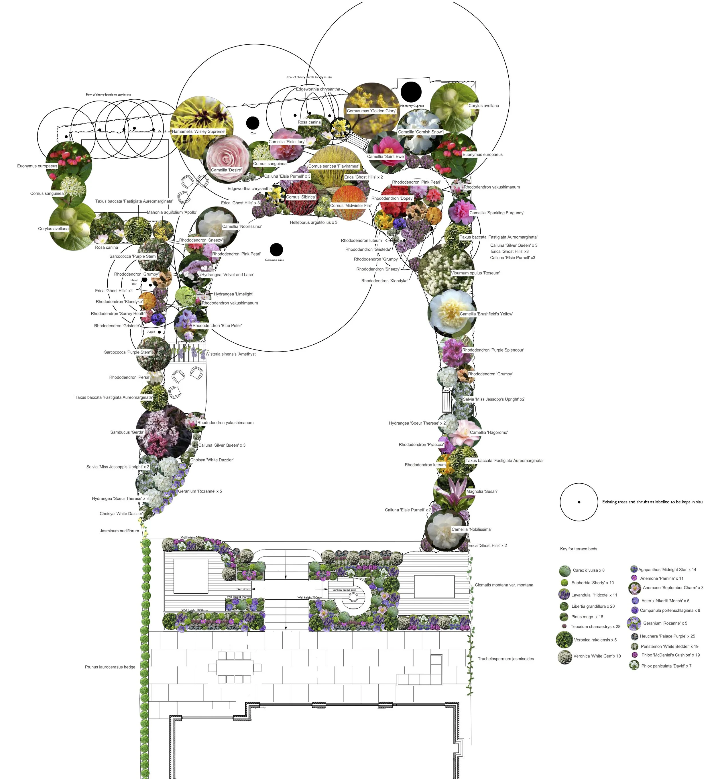 Planting plan