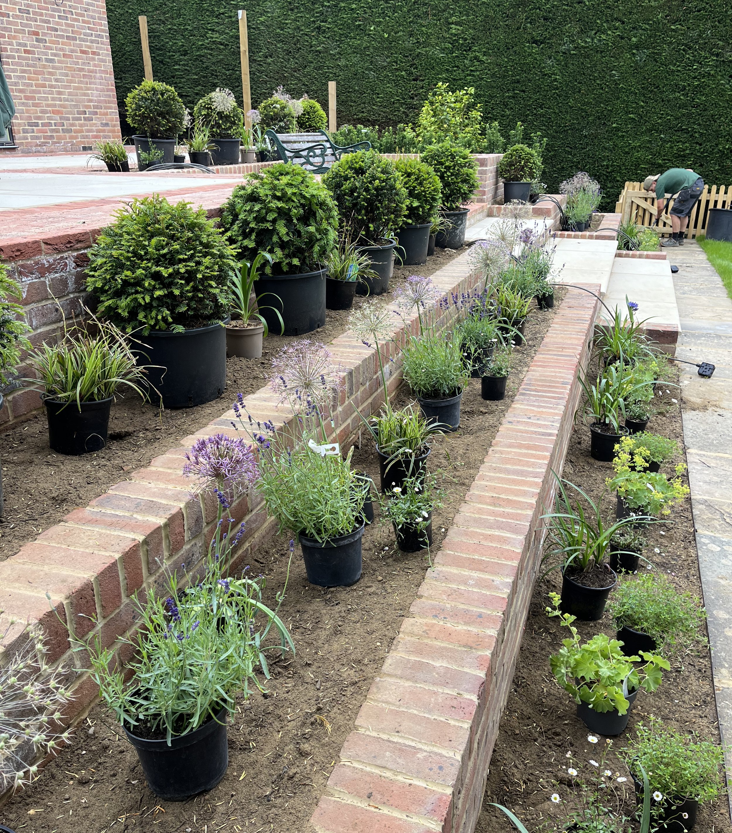 Doing the planting
