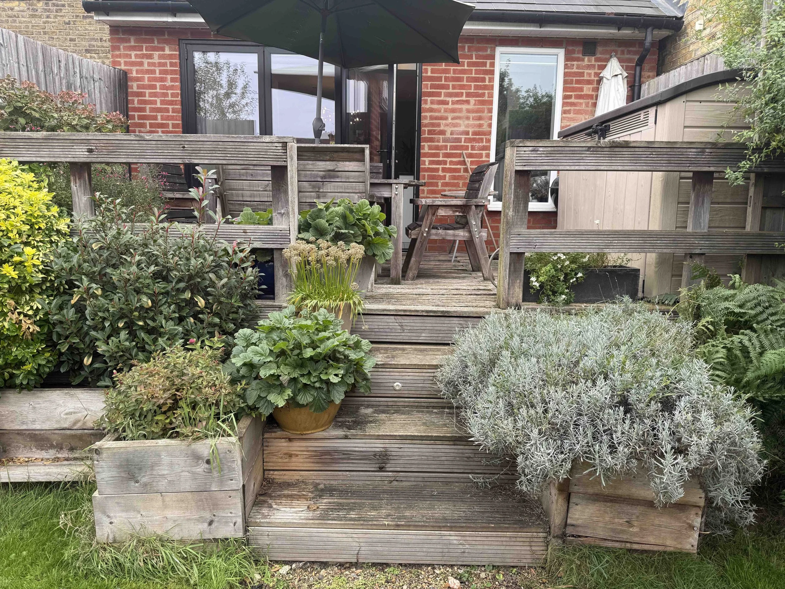 Deck  and steps before