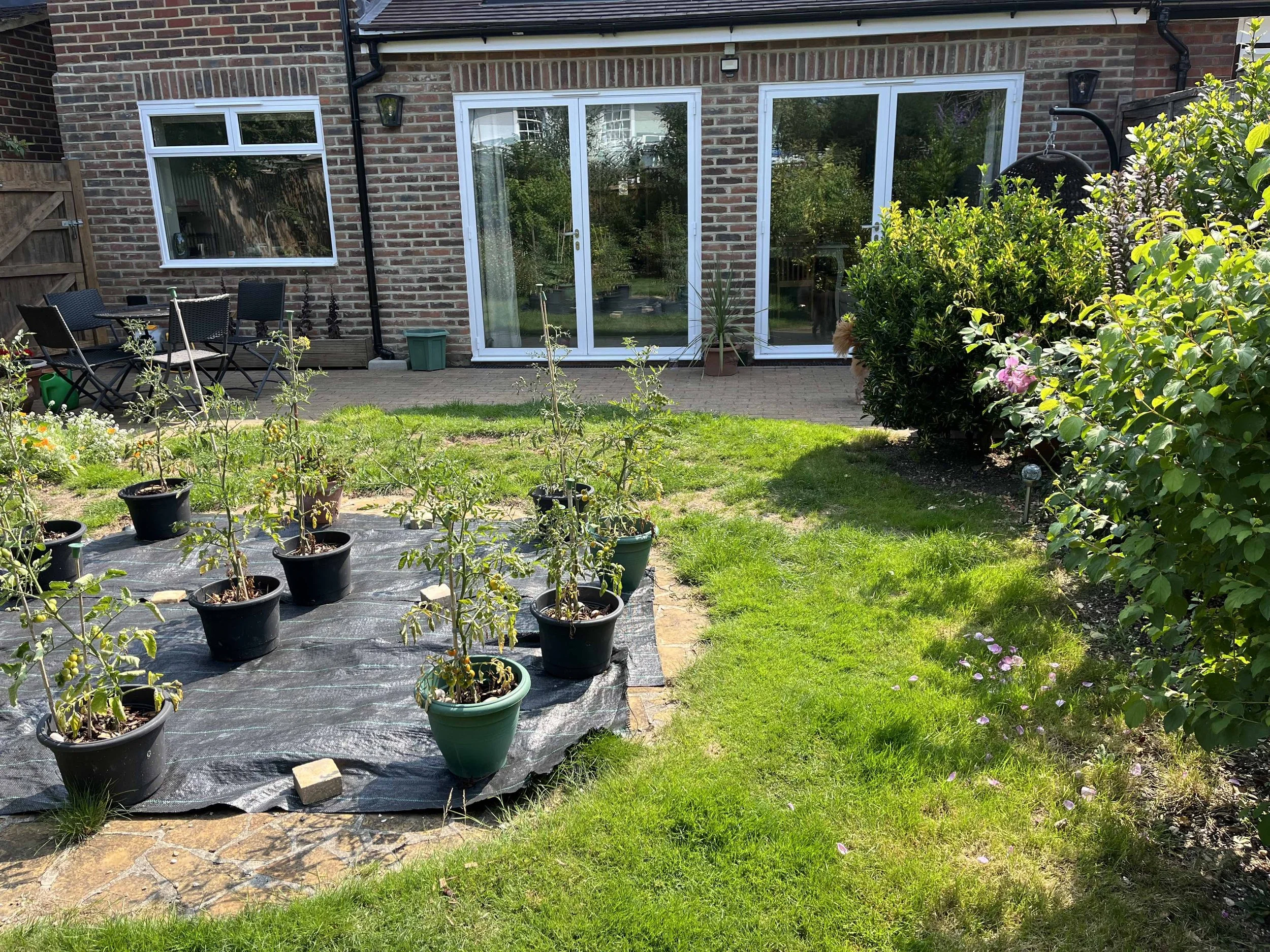 Garden as it is now