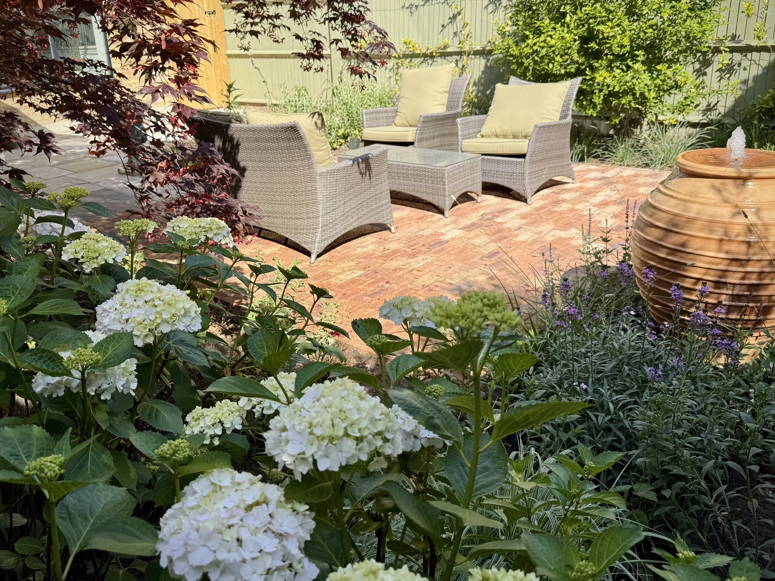 White hydrangeas