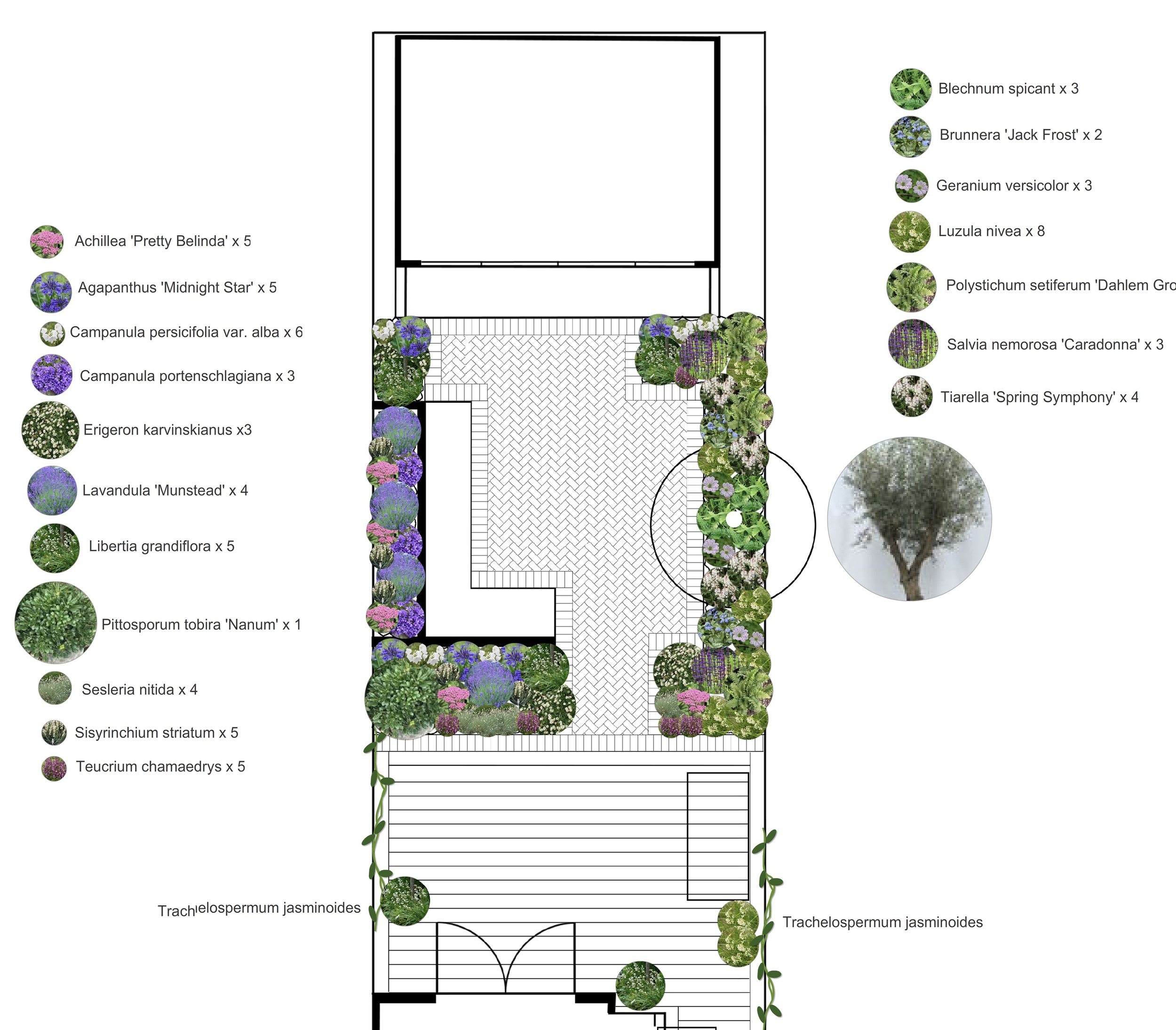 Planting plan