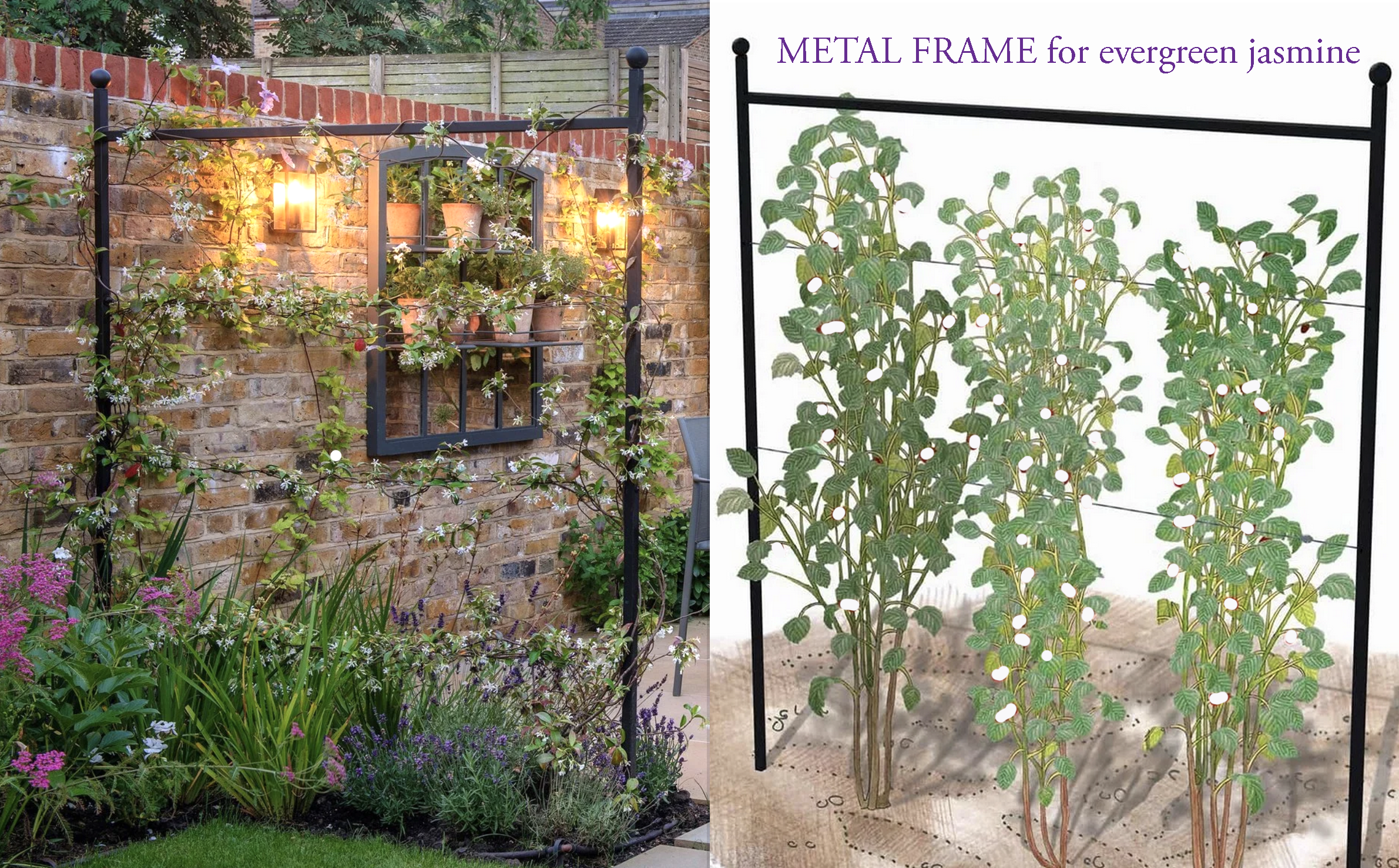 Screenshot 2026-02-11 at 12.21.44.png